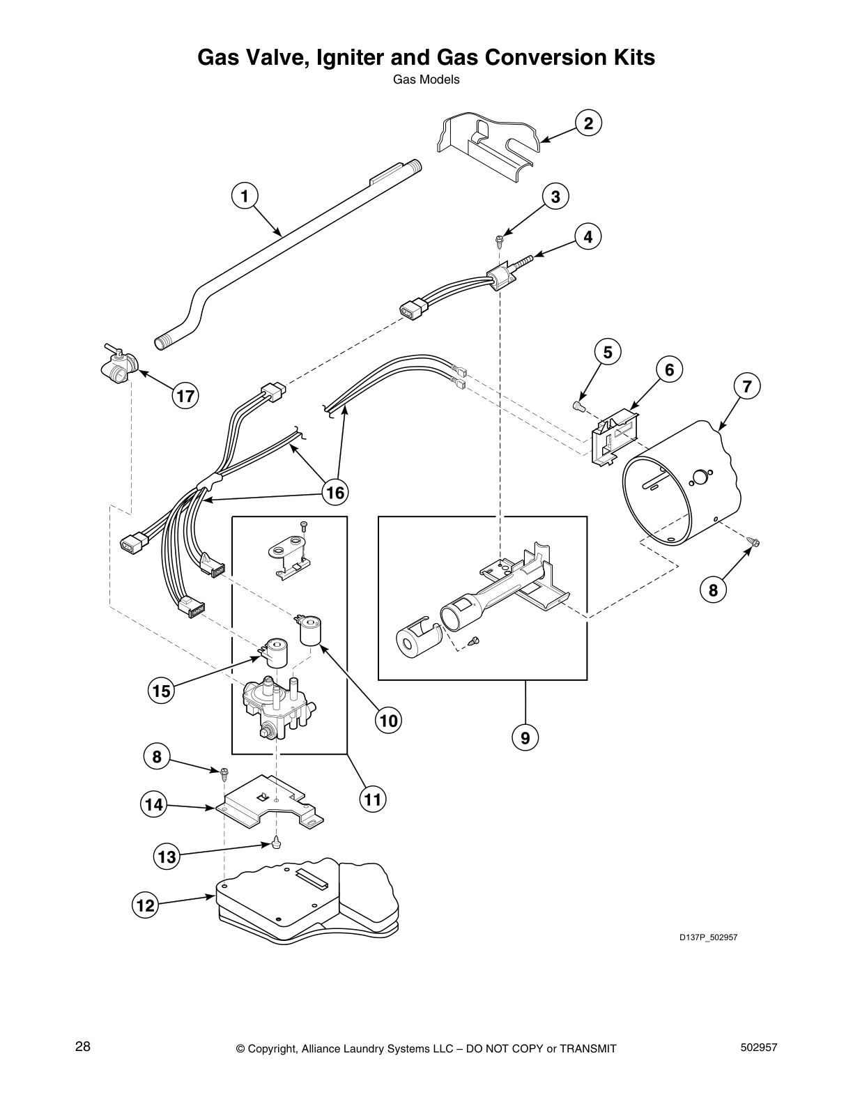 Gas Valve, Igniter and Gas Conversion Kits