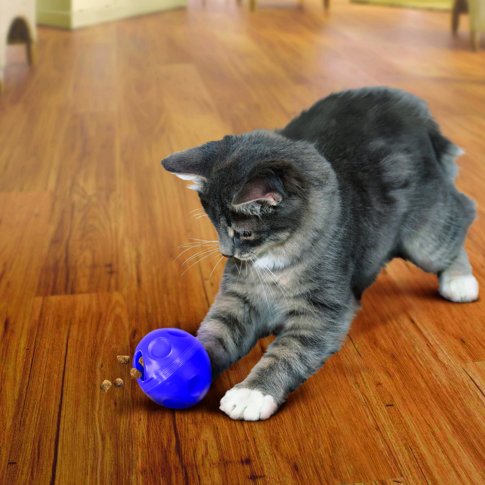 Cat Treat Dispensing Ball lifestyle product image