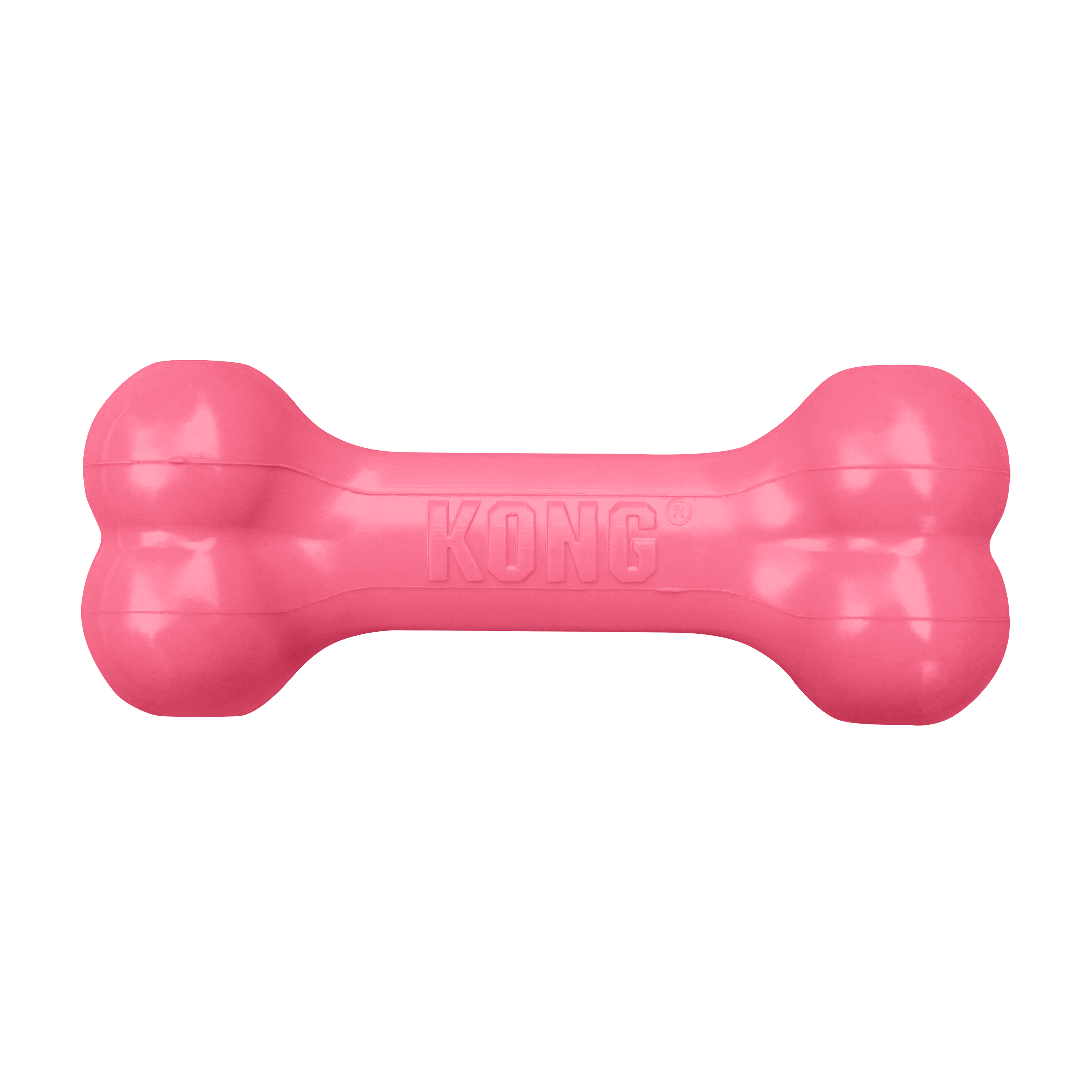 KONG Puppy Goodie Bone offpack product image