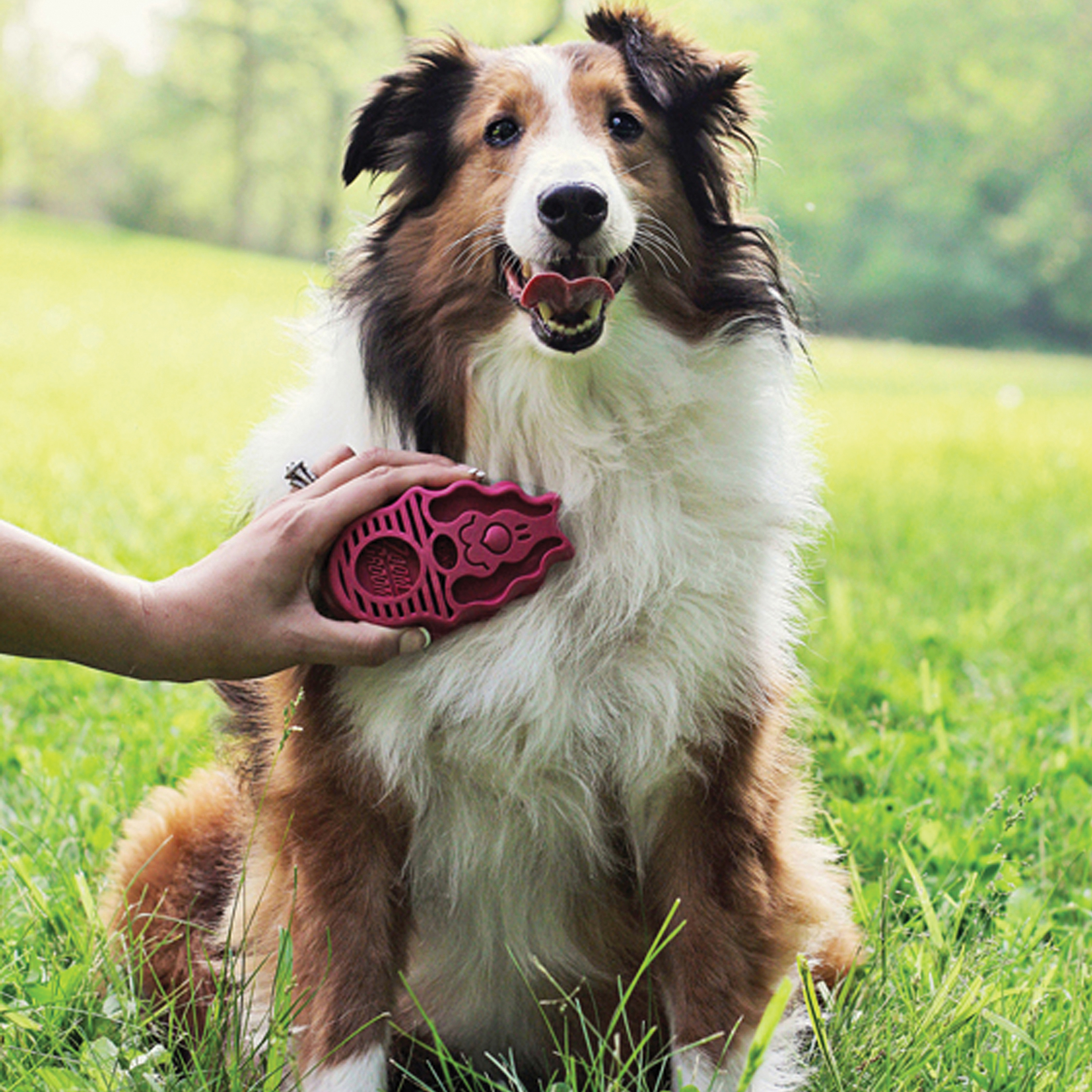 ZoomGroom Raspberry lifestyle product image