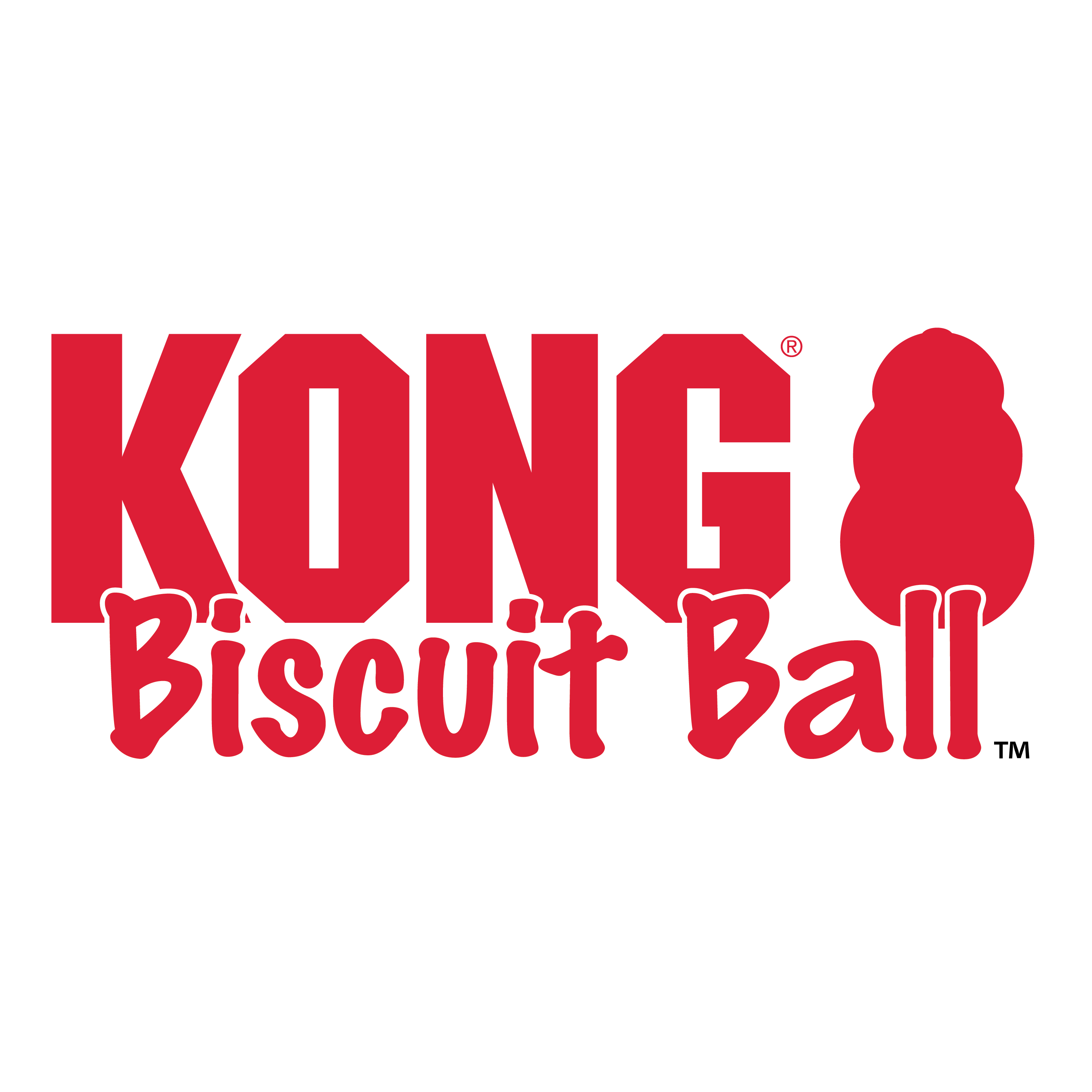 KONG Biscuit Ball alt1 product image