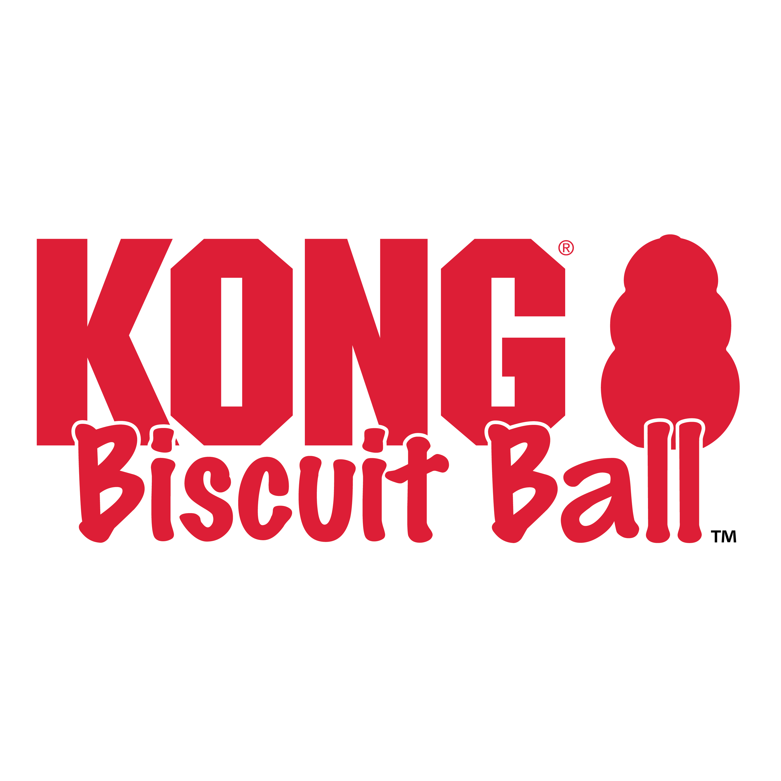 Gioco per cani KONG BISCUIT BALL