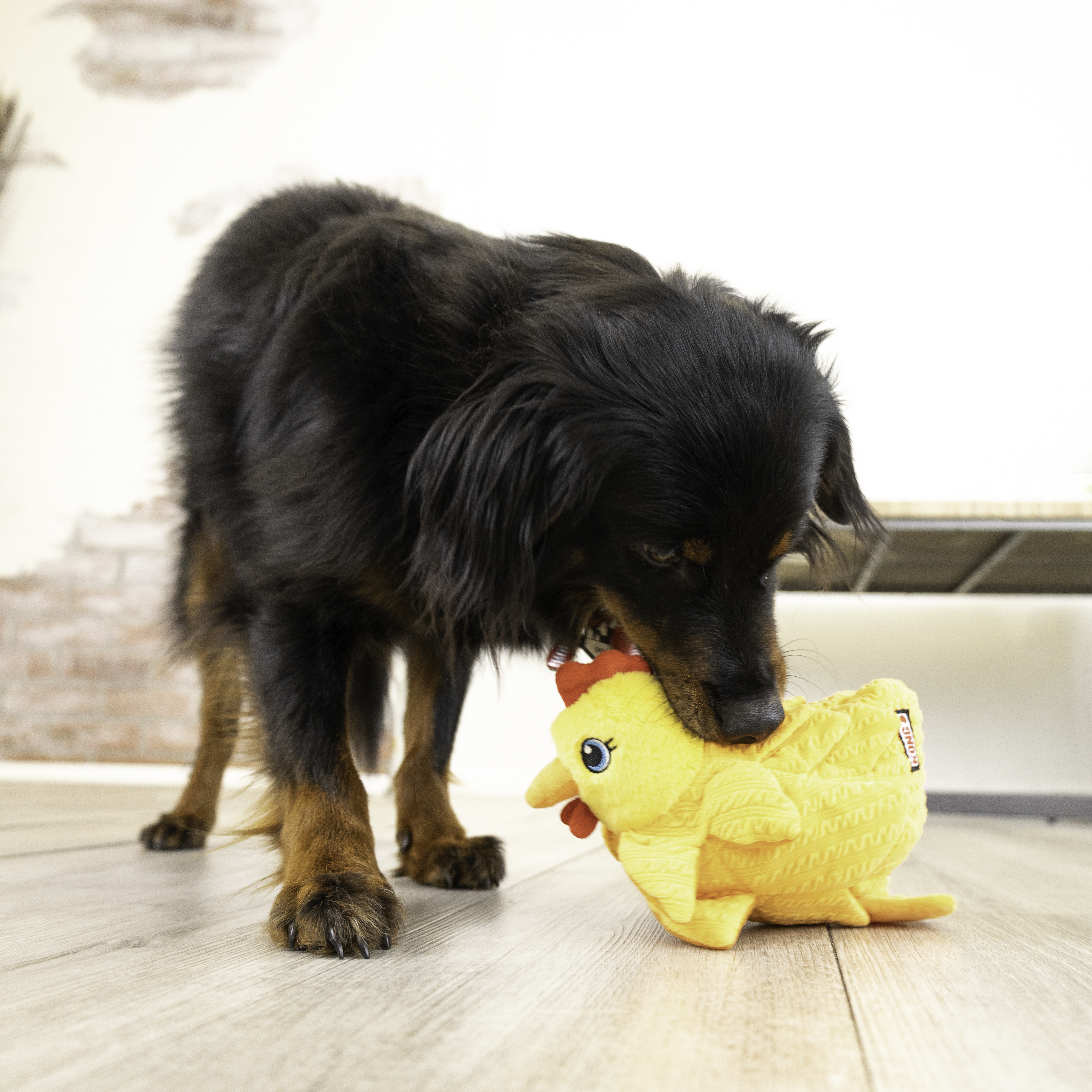 Layerz Forage Hen lifestyle product image