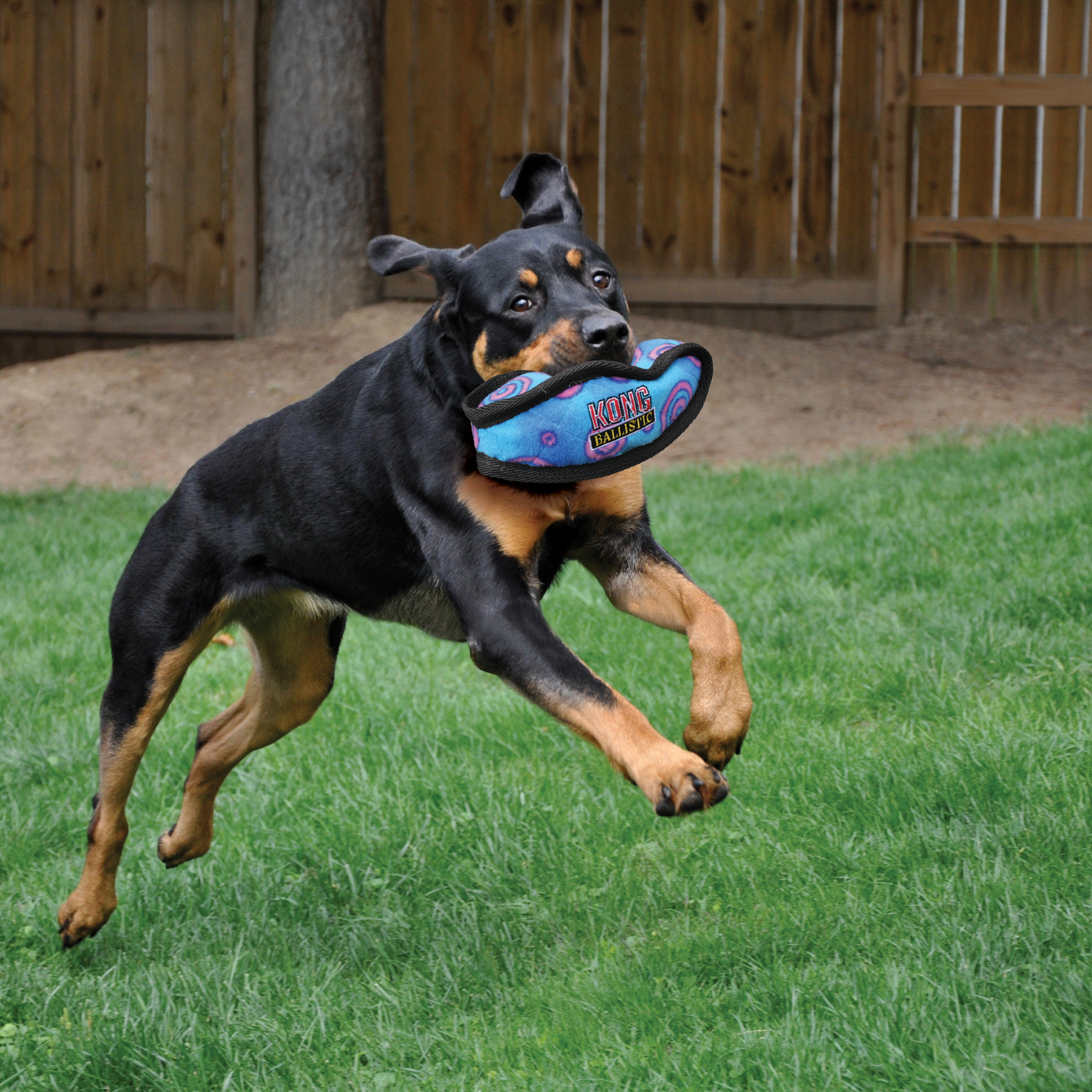 Ballistic Football lifestyle product image