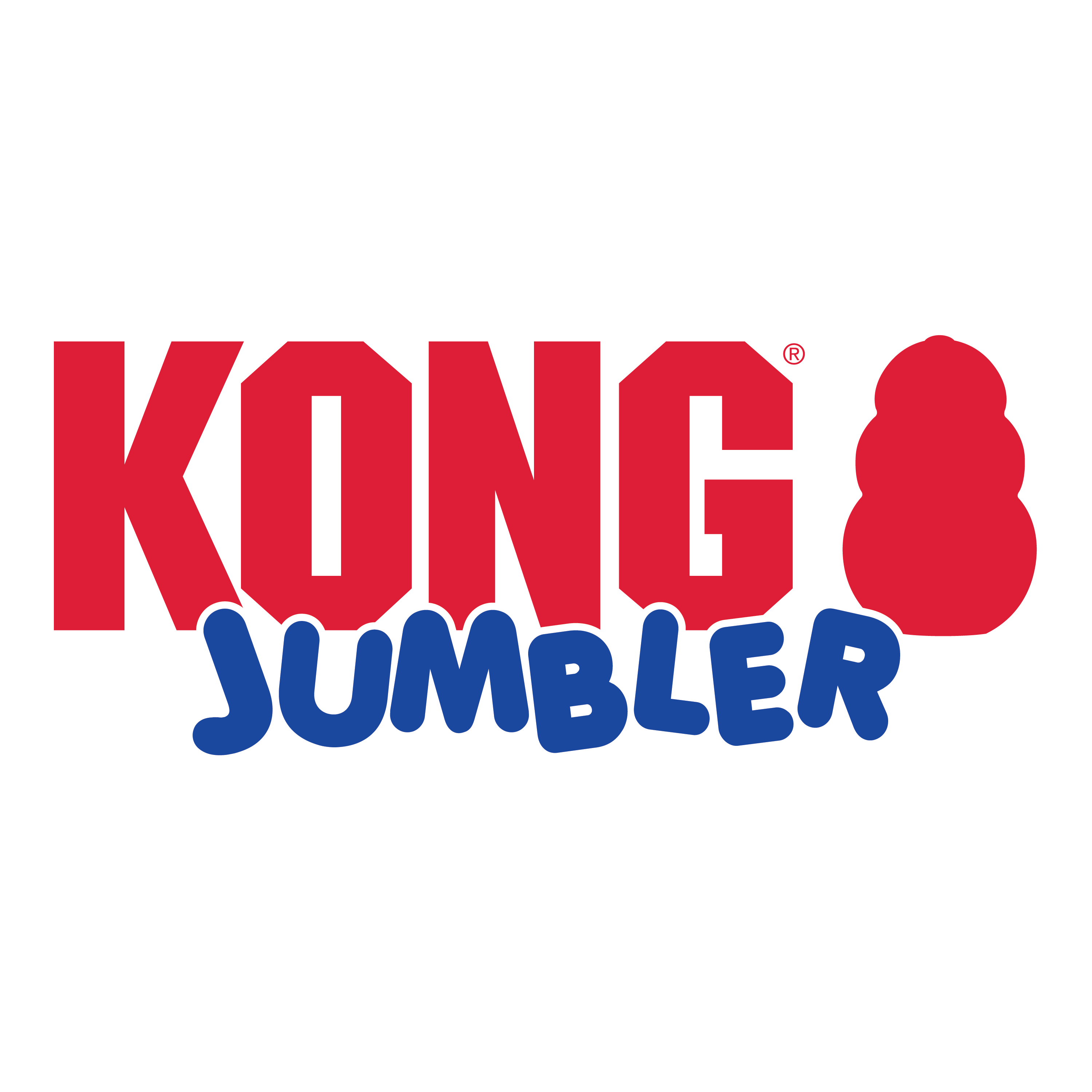 Kong tumbler shop dog toy