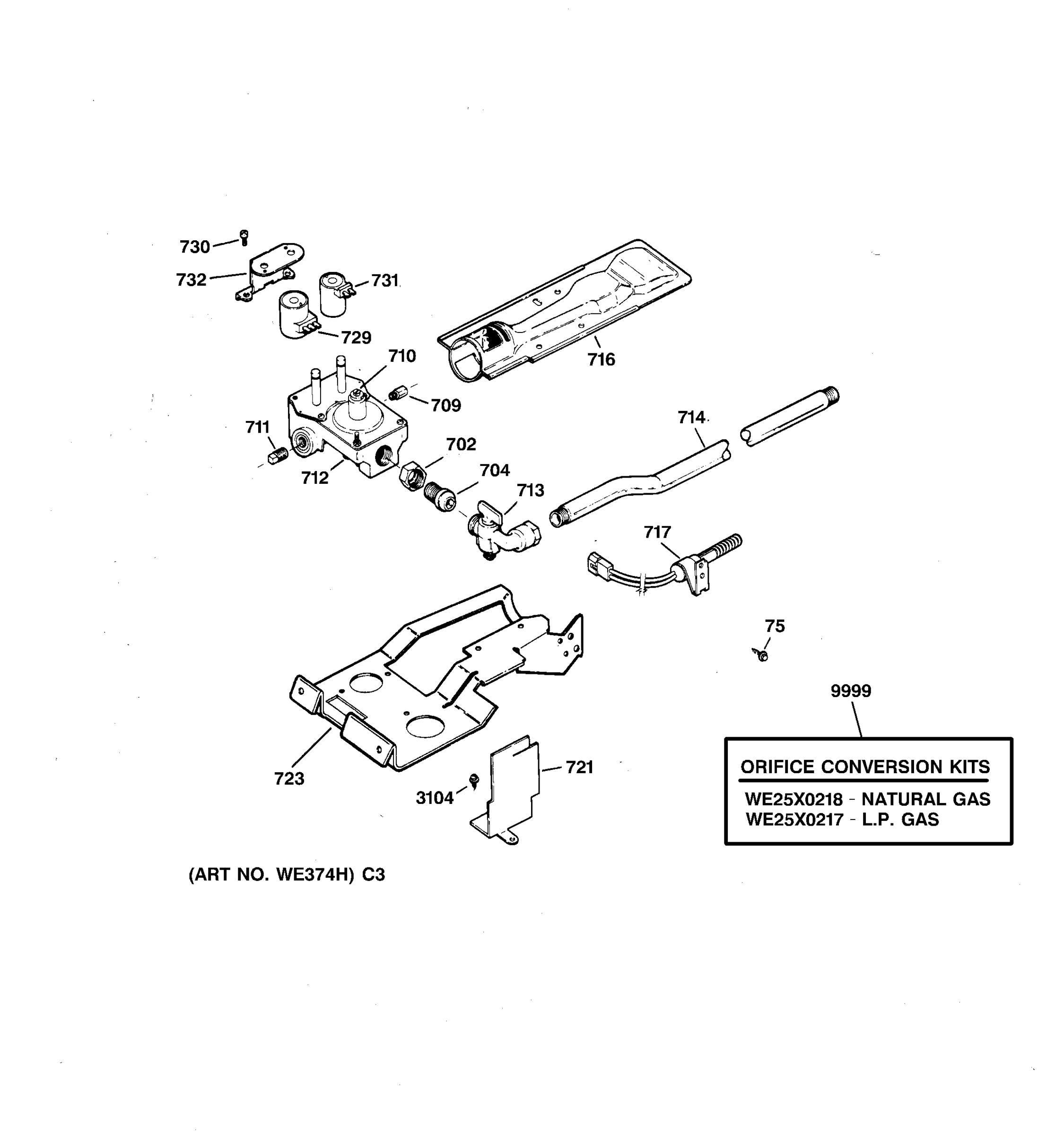 GAS VALVE & BURNER ASSEMBLY