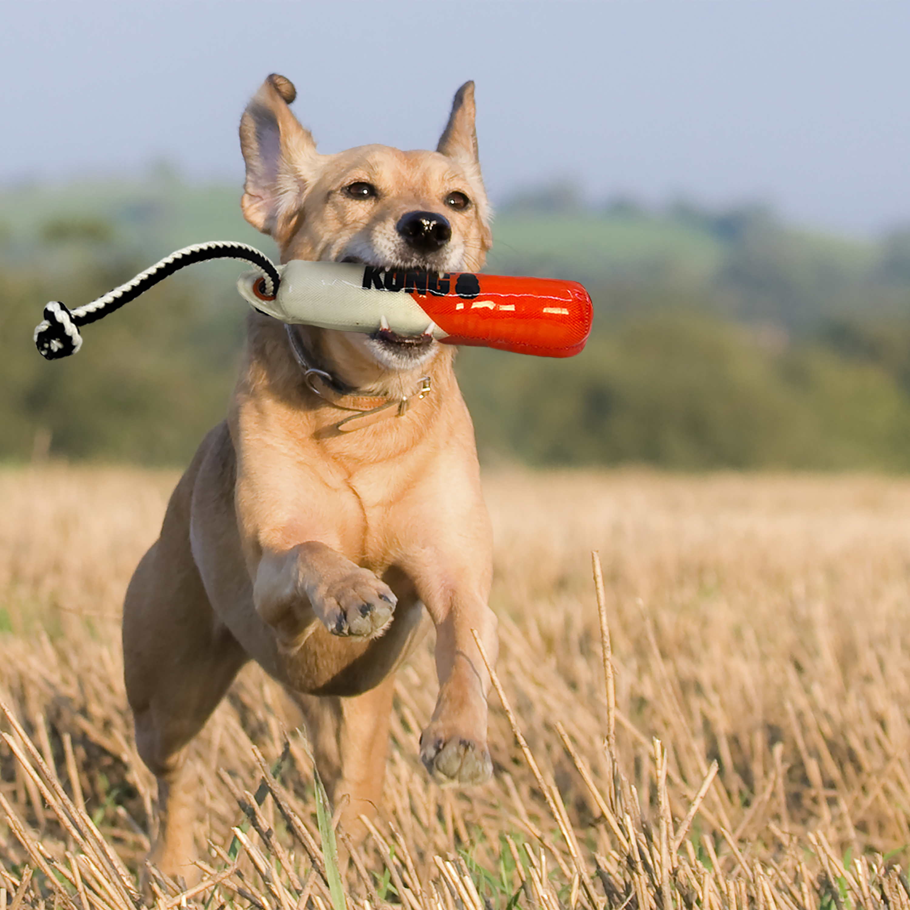 Wild Shieldz Training Dummy Orange/White lifestyle product image