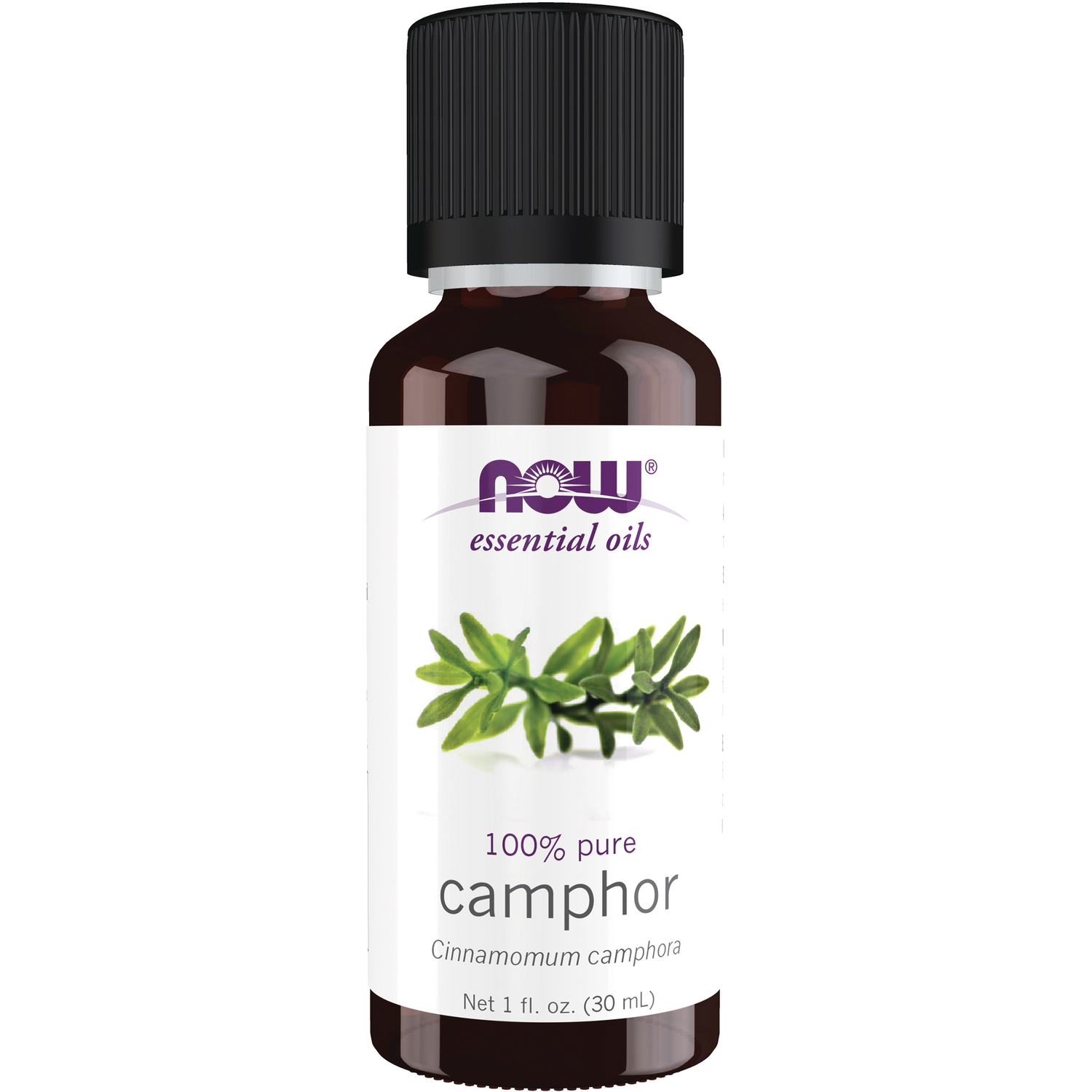 NOW Foods 100% Pure Camphor | 1 fl oz Liquid | Essential Oils