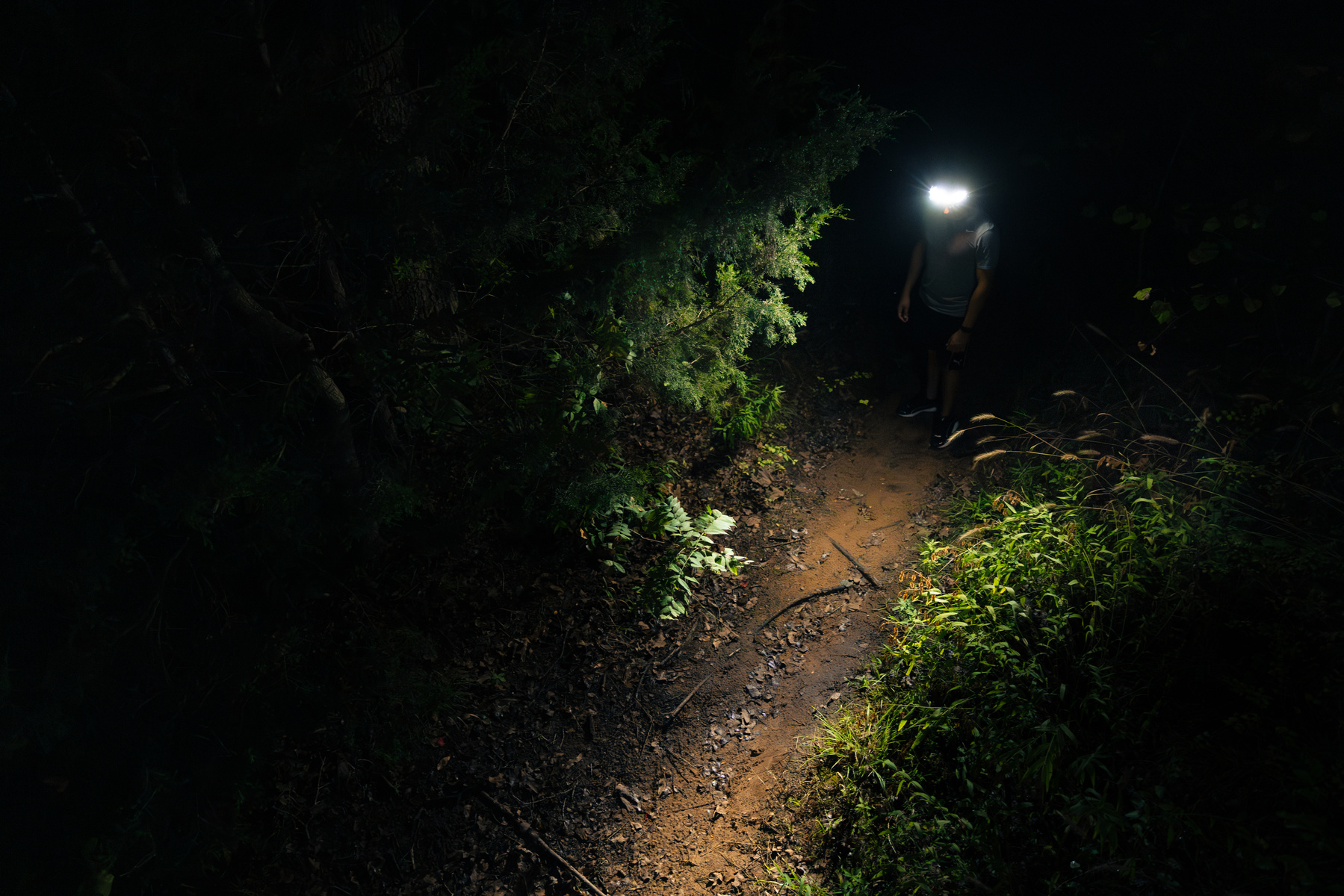 NEBO CurvBeam 600 Flex Front