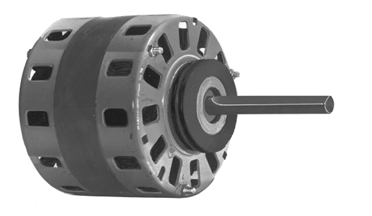 D1016