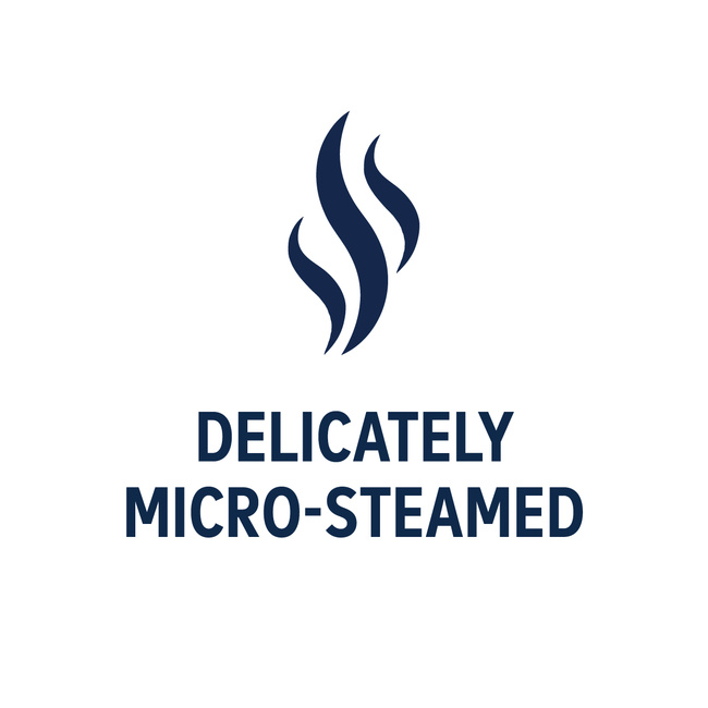 Z-MicroSteam 微蒸技術圖示