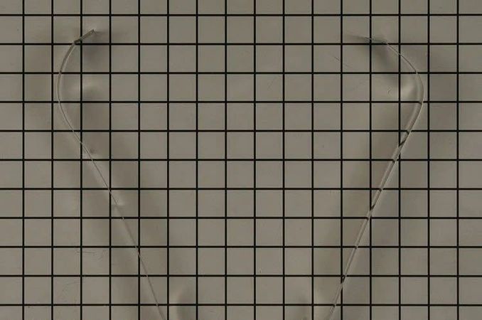 W10234515