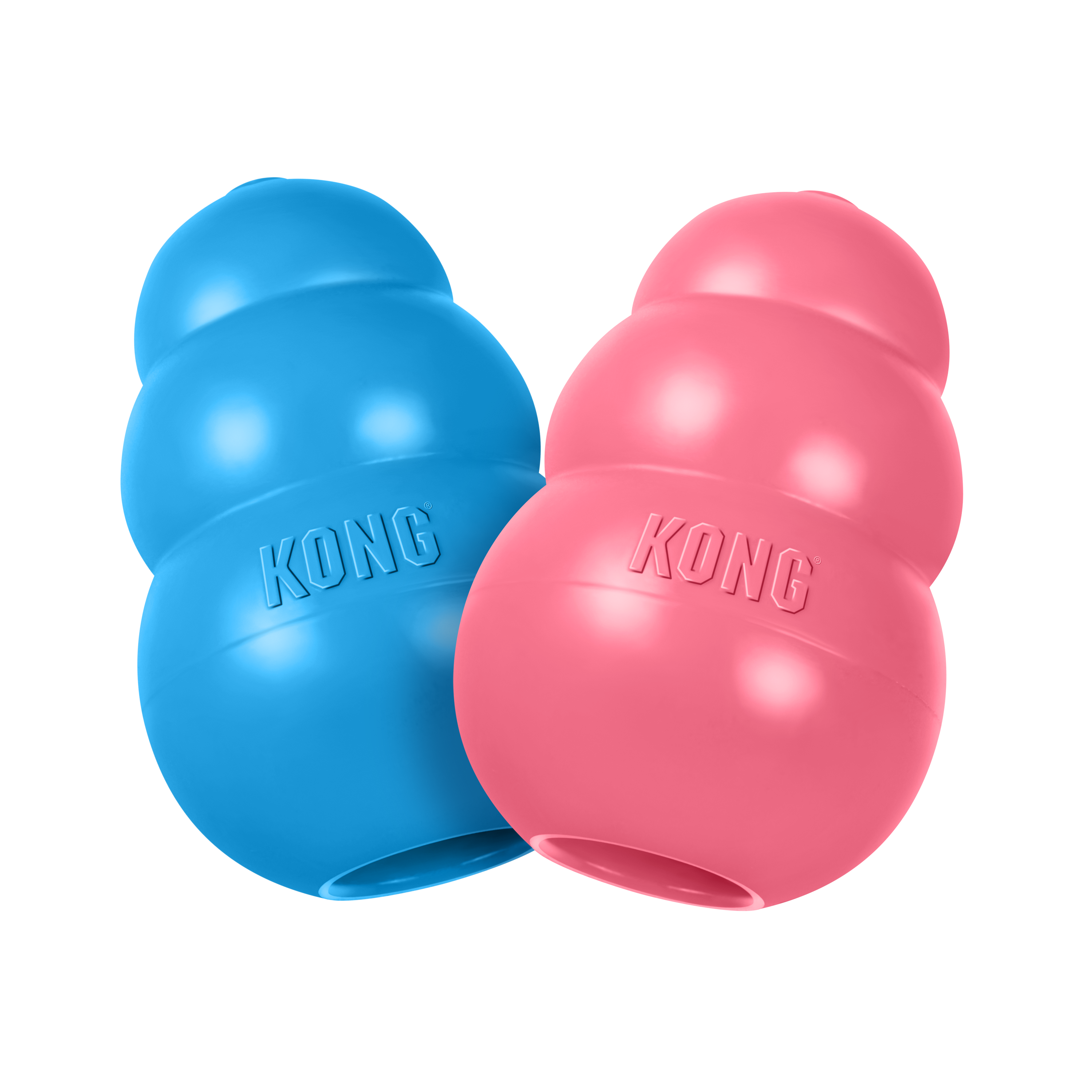 KONG Puppy lifestyle product image
