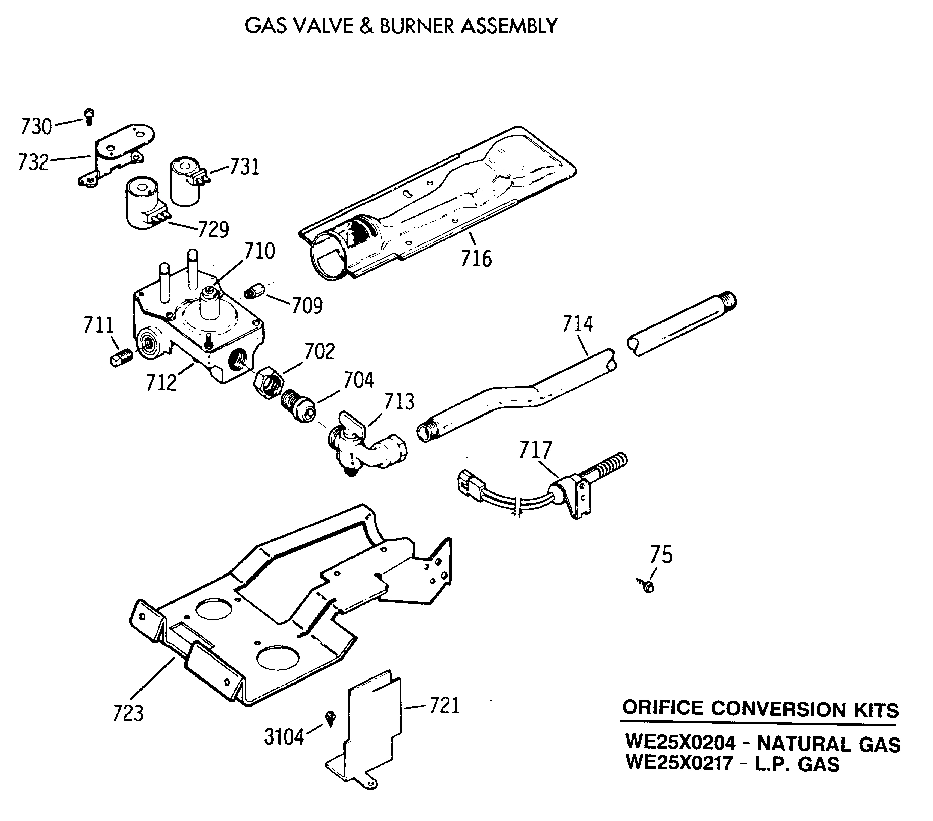 GAS VALVE & BURNER ASSEMBLY