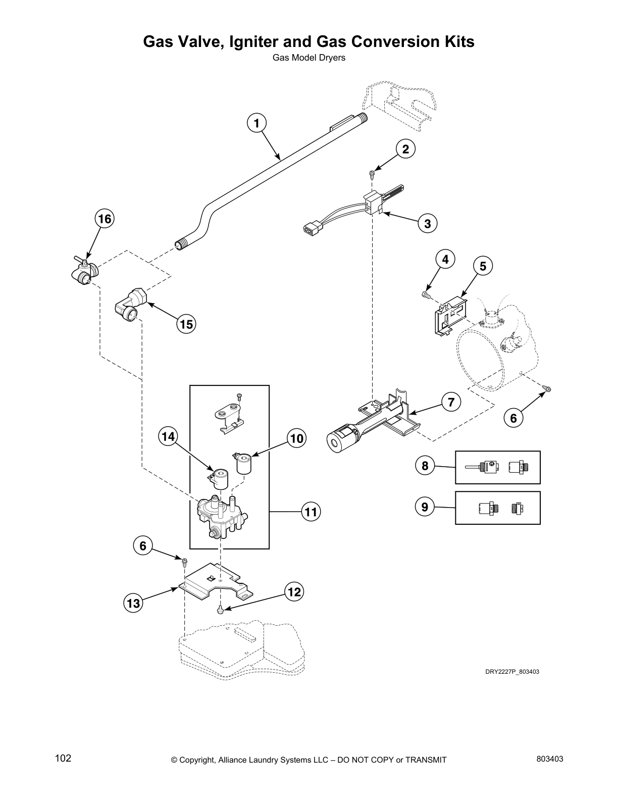 Gas Valve, Igniter and Gas Conversion Kits