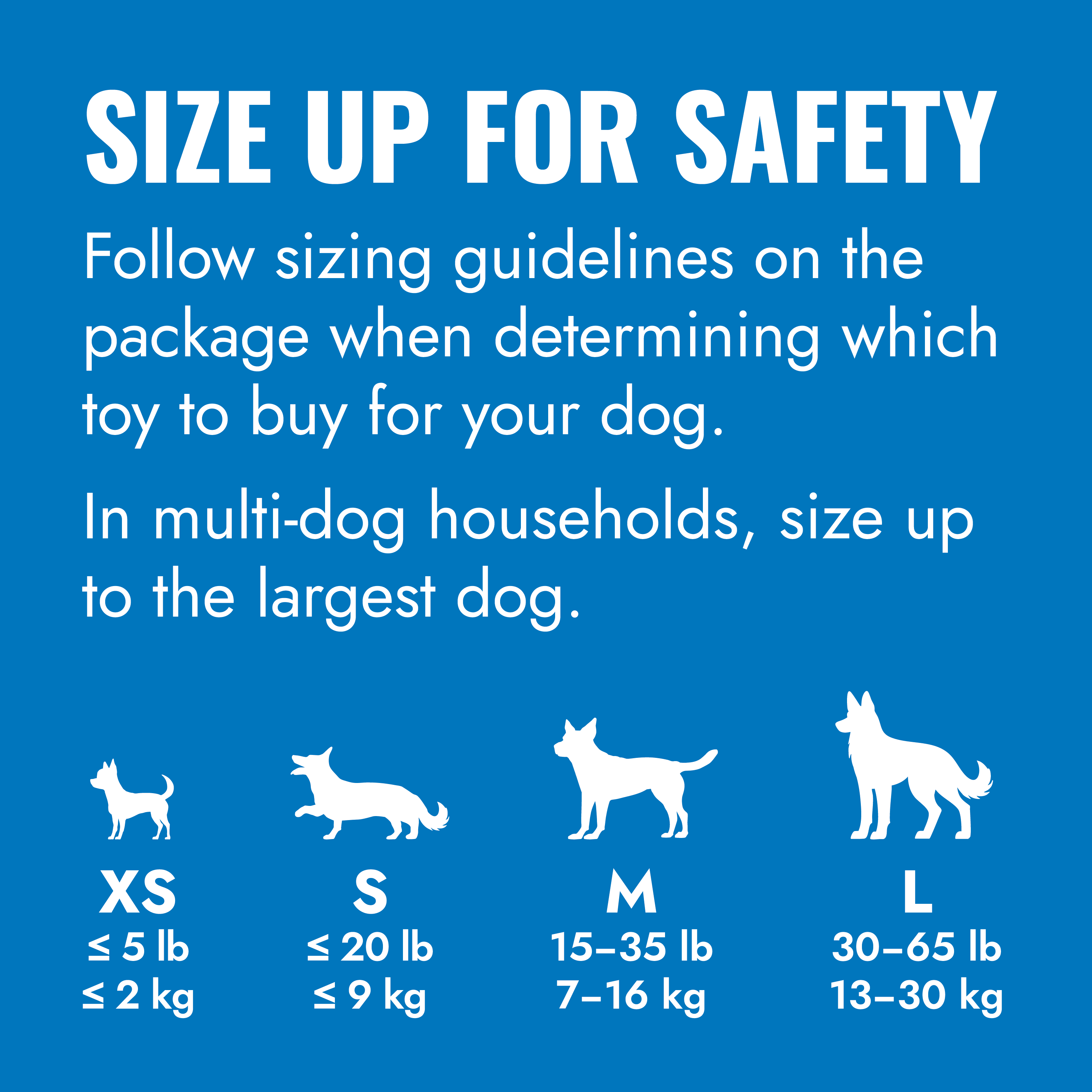 KONG Puppy educational1 product image