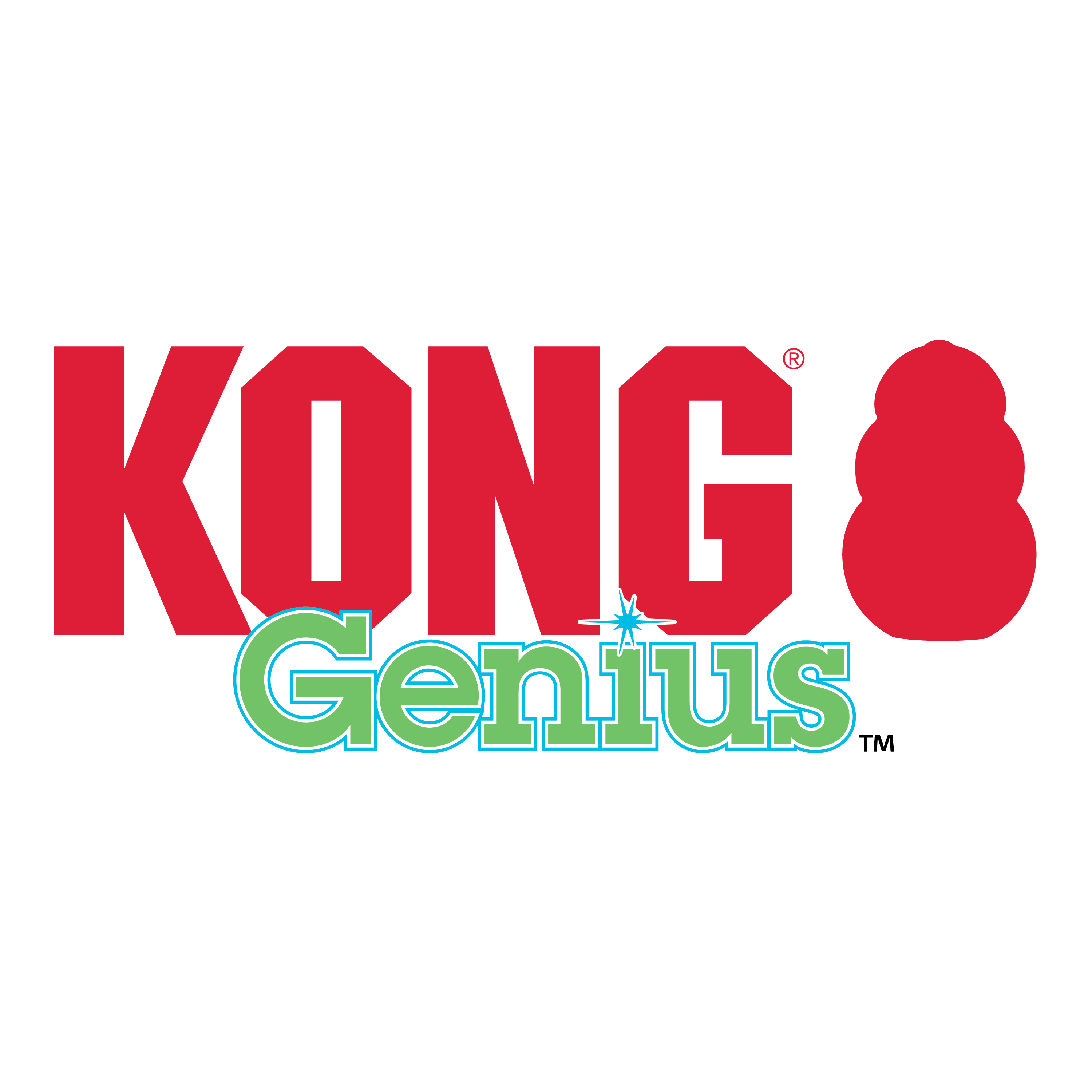 Kong - Genius Mike - Dog Toy - Small