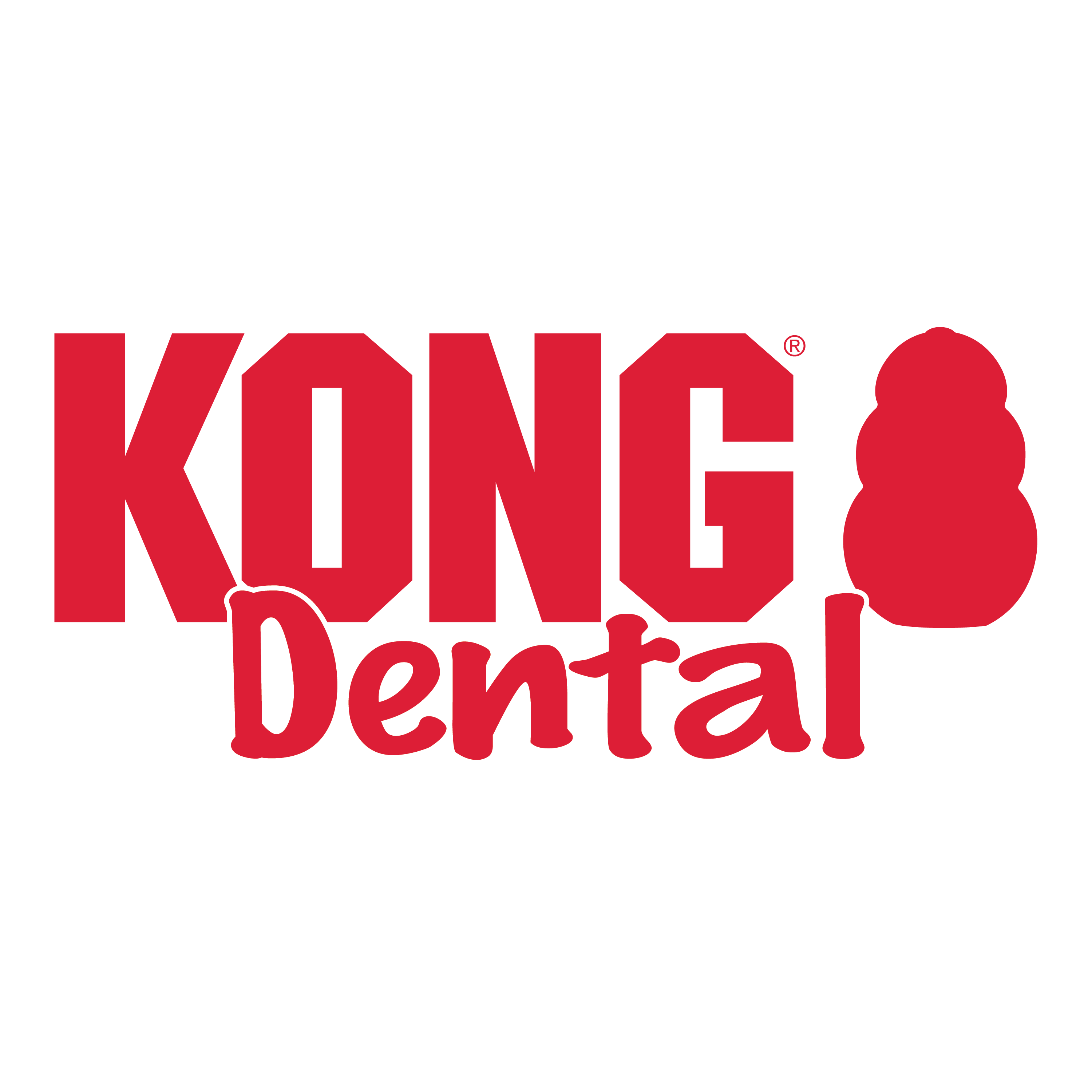 KONG Dental w/Rope alt1 product image