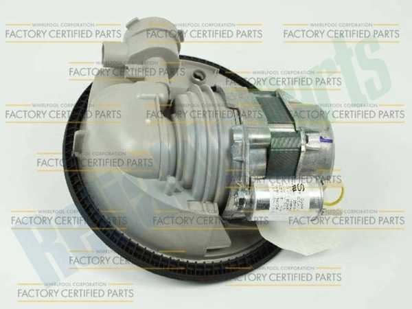 Pump and Motor