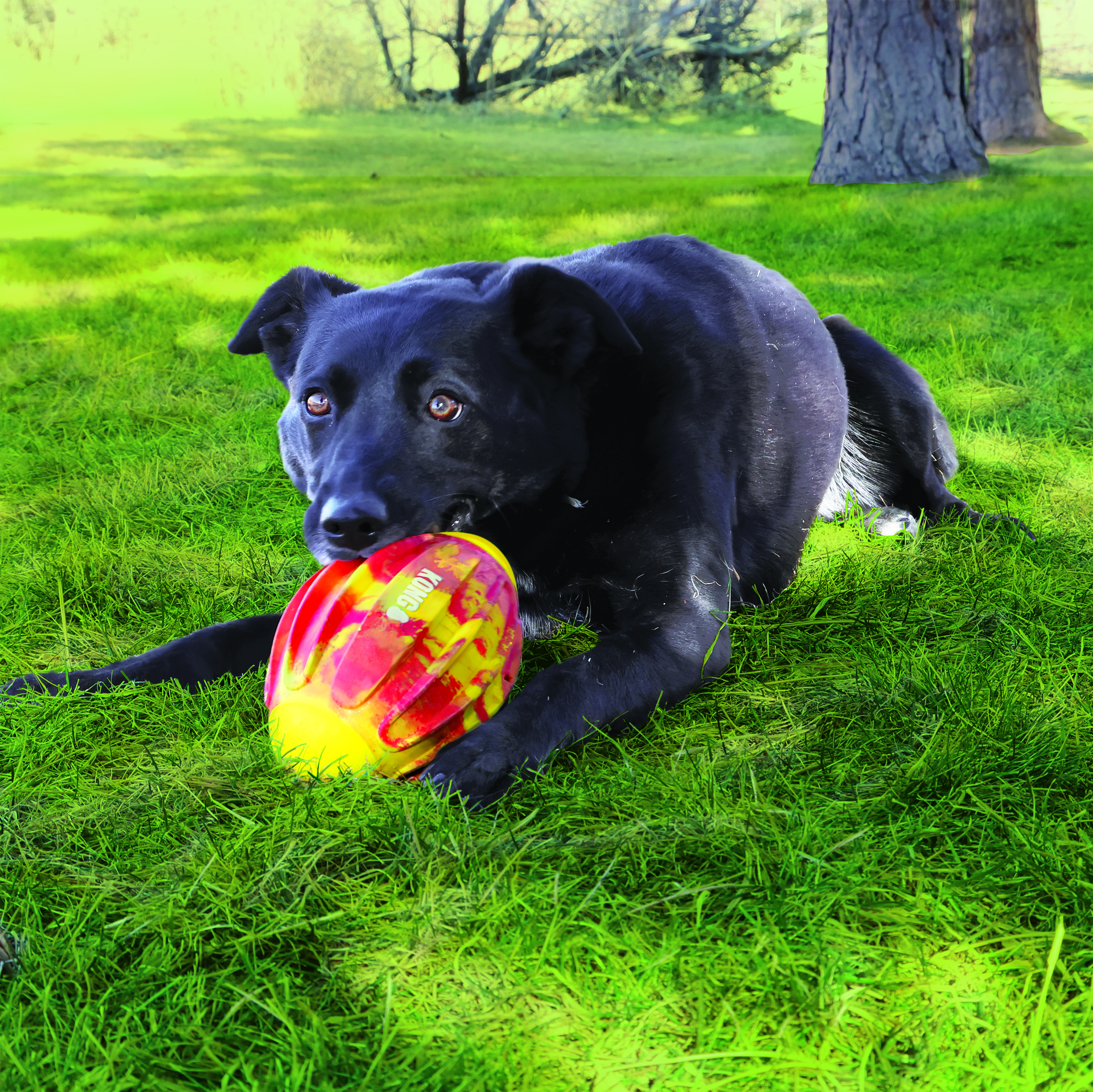 Flexball Sport Football lifestyle product image