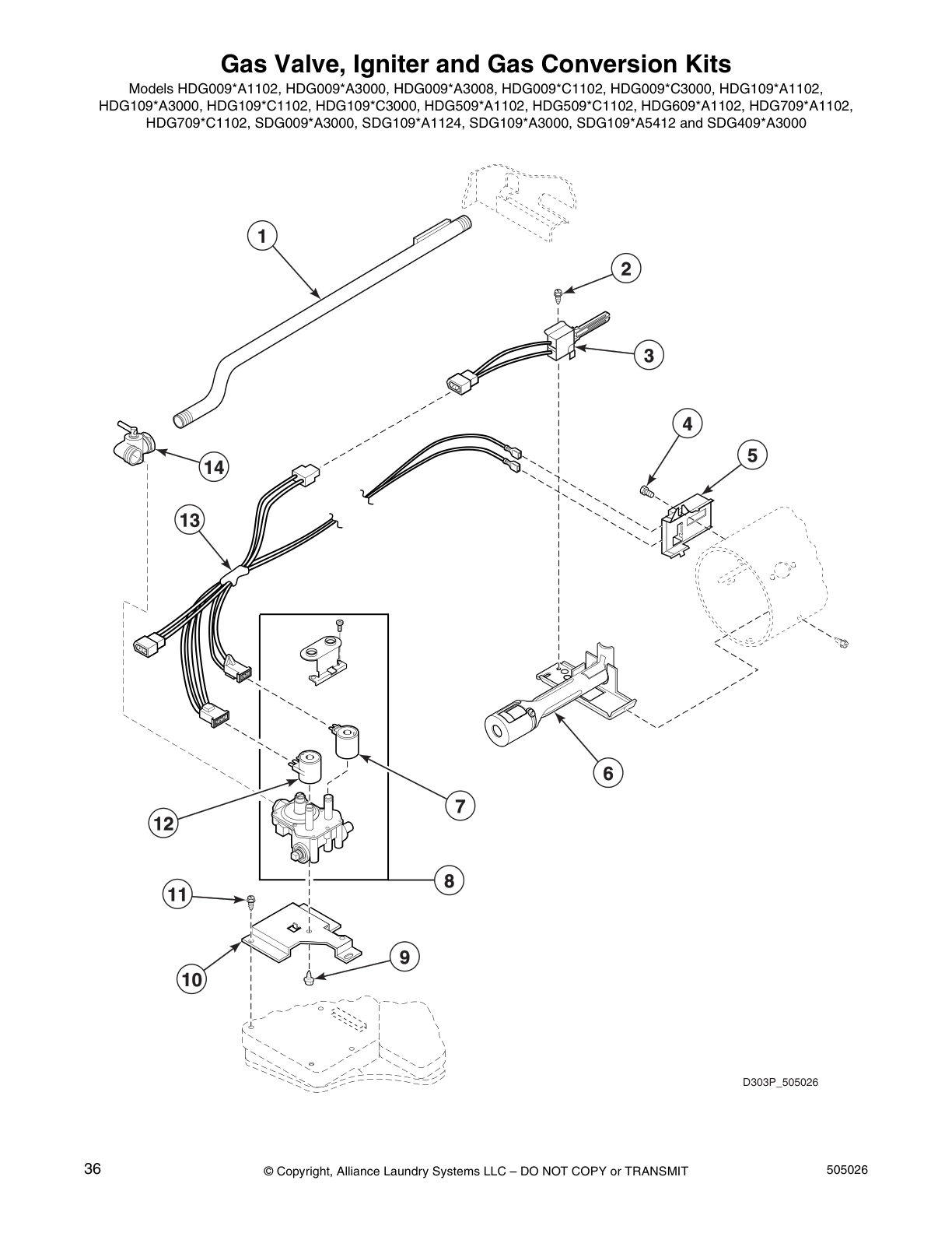 Gas Valve, Igniter and Gas Conversion Kits