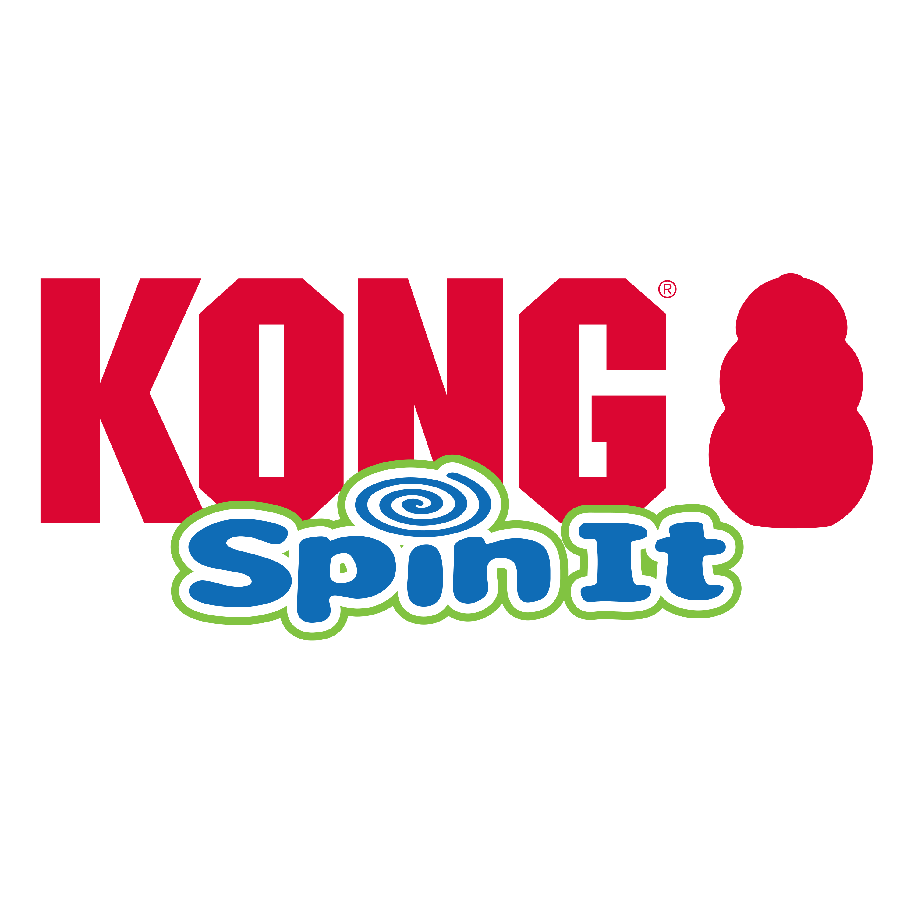 Kong spin best sale it dog toy