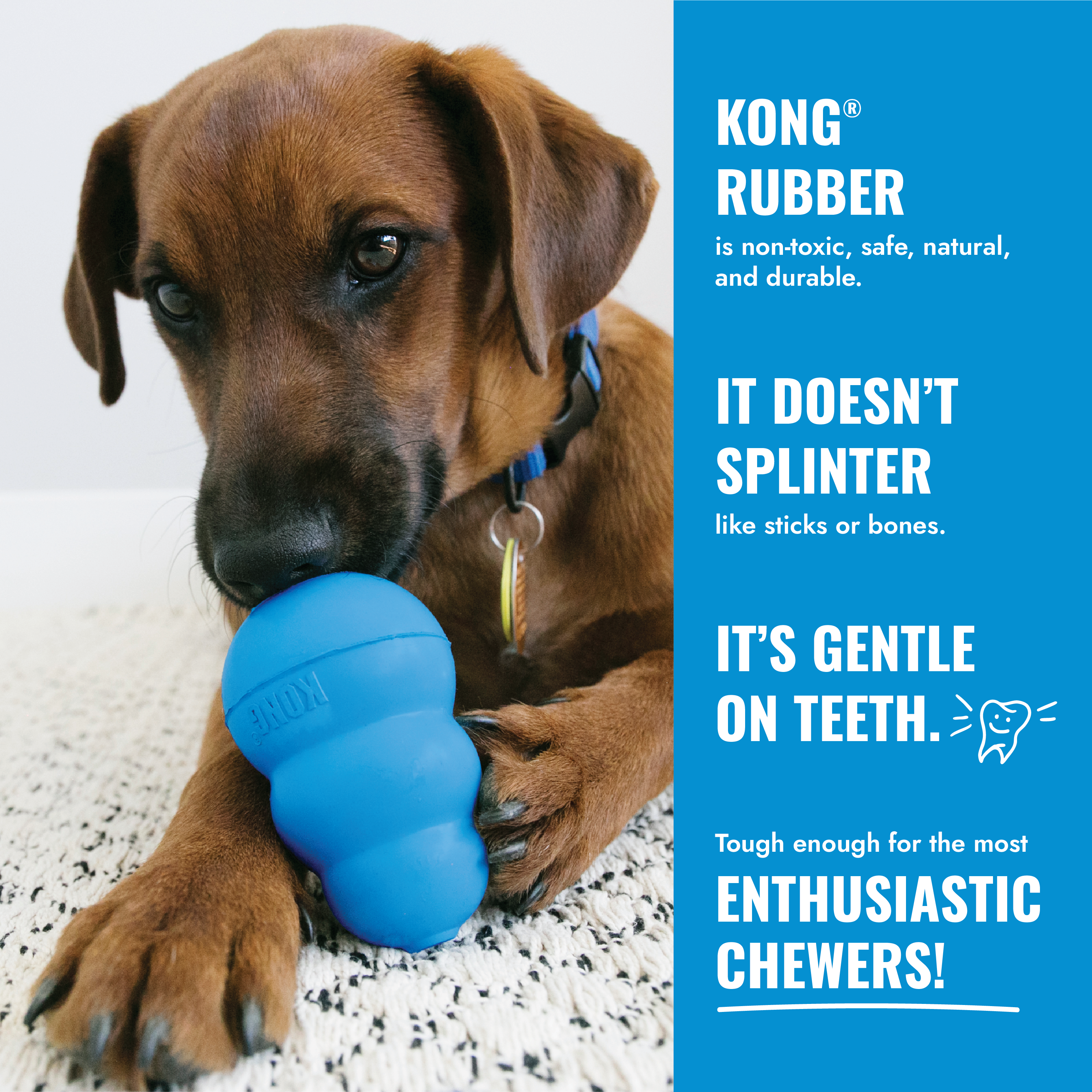 KONG Puppy Tires educational2 product image