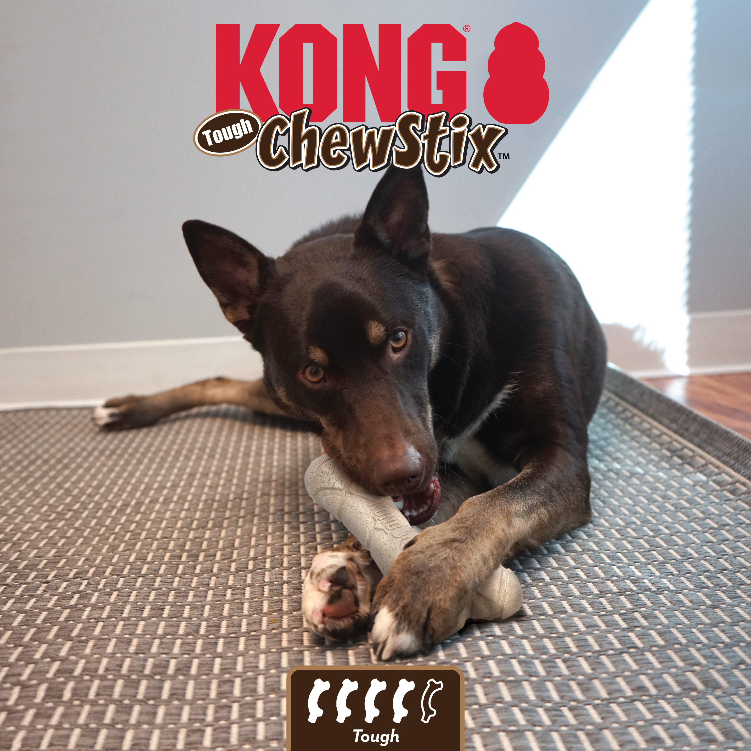 ChewStix Tough Femur educativo1 imagen de producto