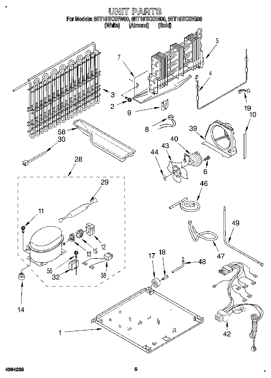 06 - UNIT, LIT/OPTIONAL
