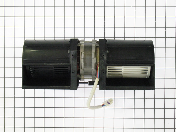 Fan Motor