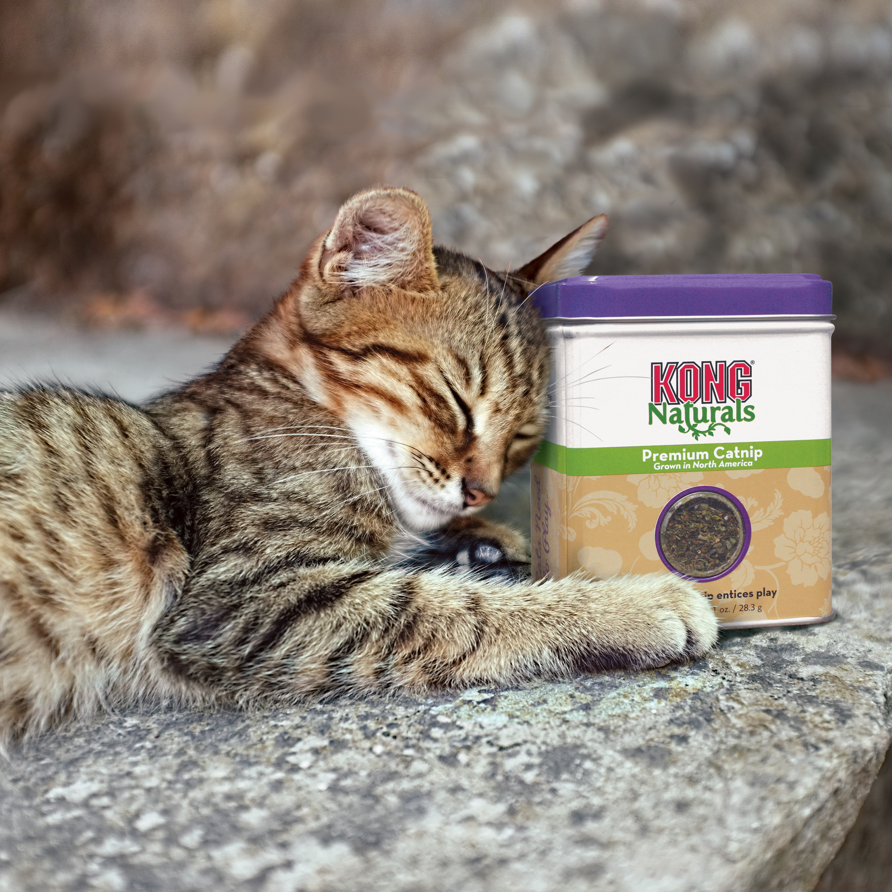 Naturals Catnip lifestyle produktbillede