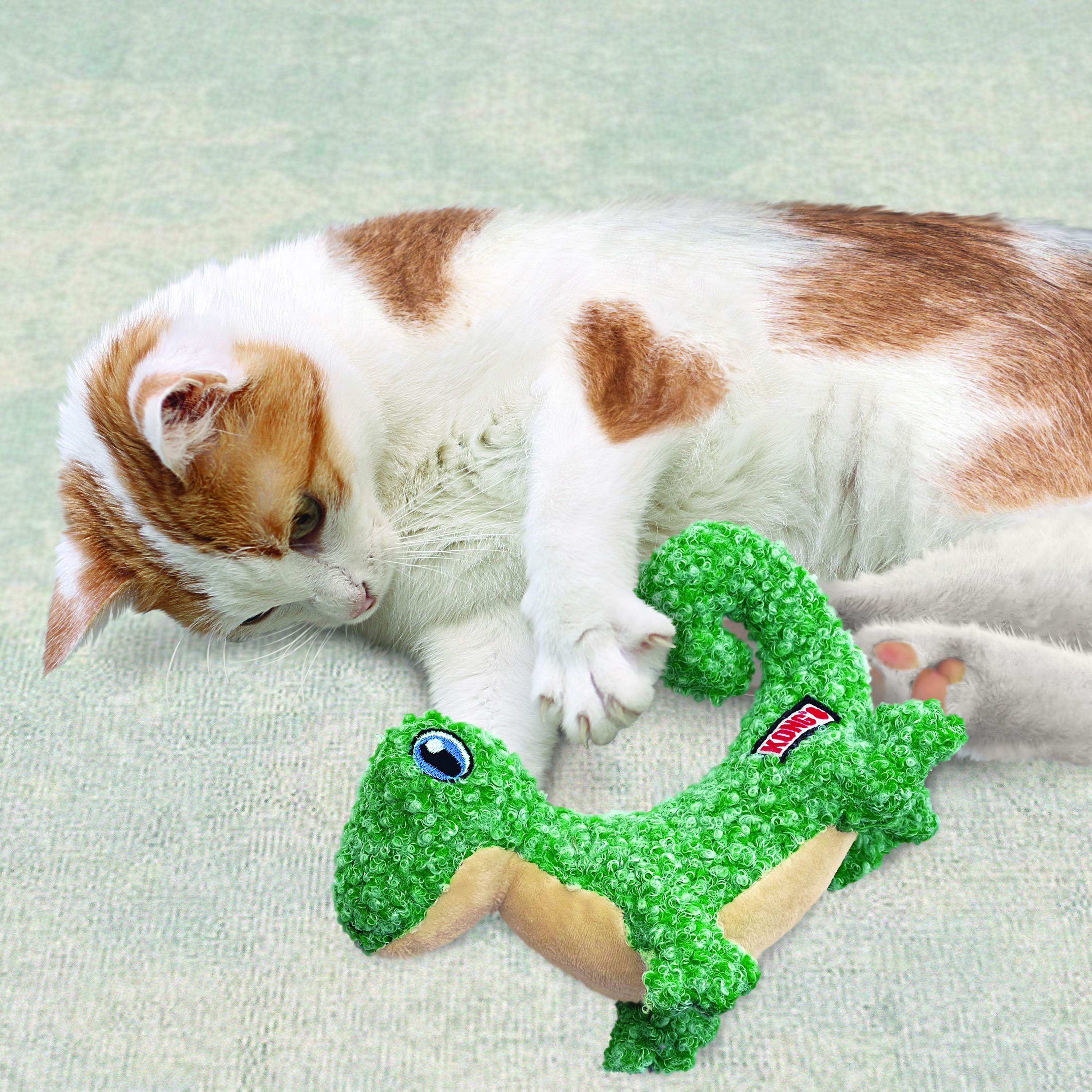 Cat Luvs Lizard lifestyle product image