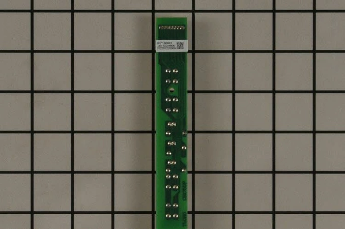 S99527446