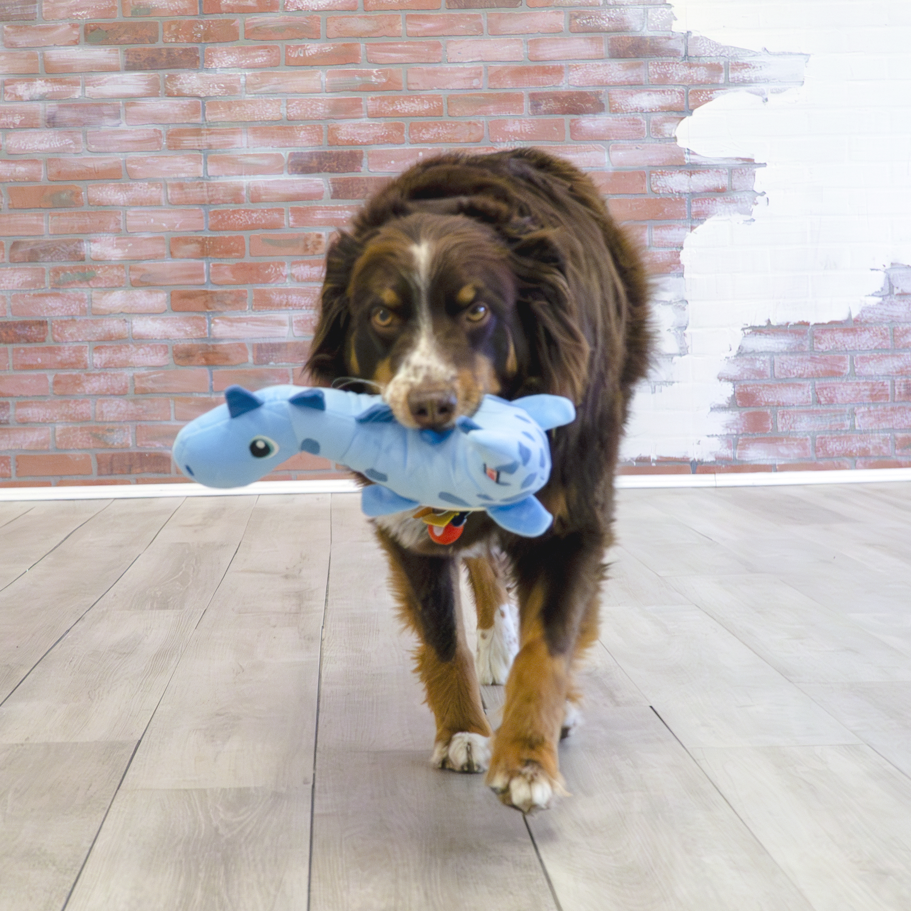 Kong Dynos Roars Green Dog Toy Kong Dynos Roars Green Dog Toy