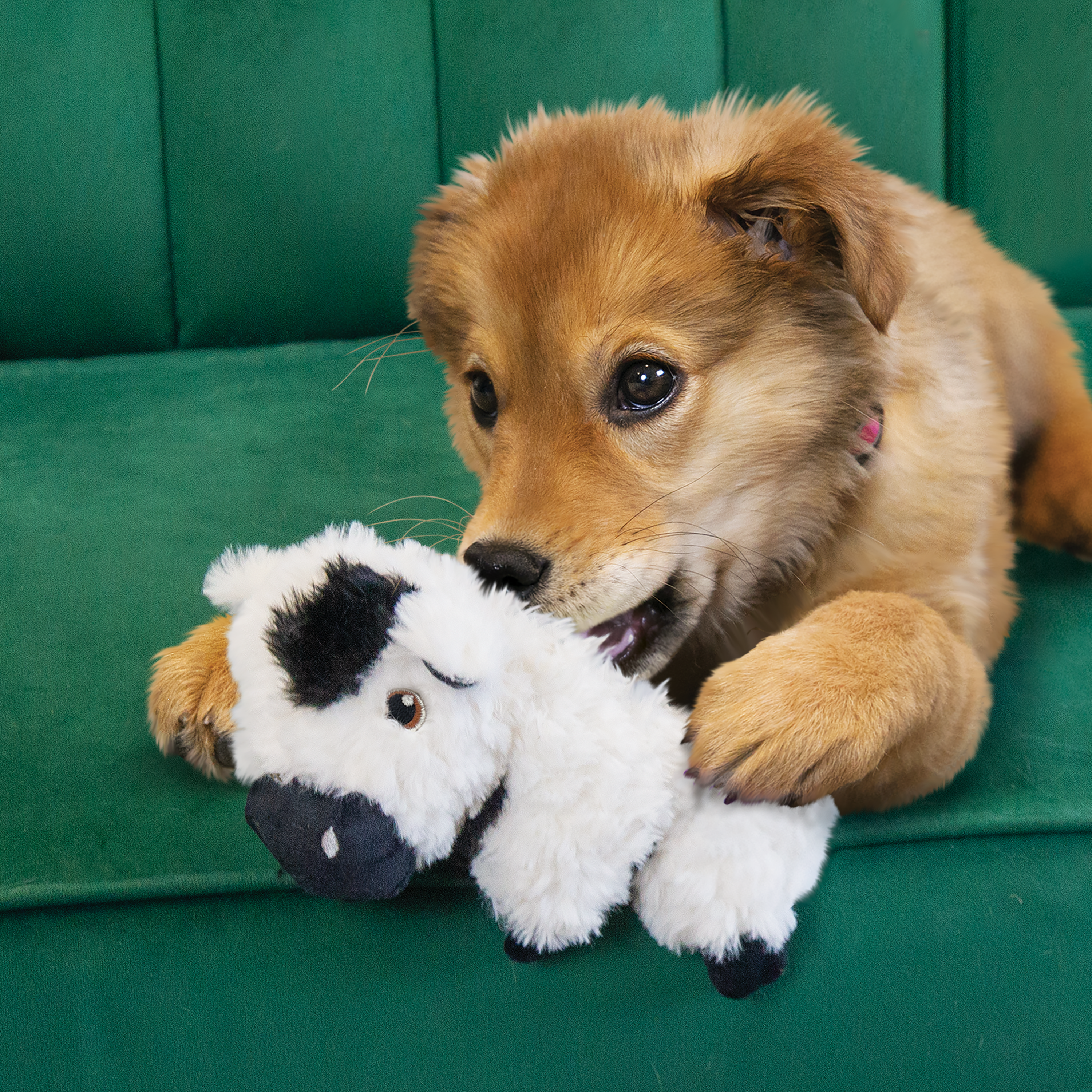KONG Comfort Tykes Cow Dog Toy KONG Comfort Tykes Cow Dog Toy