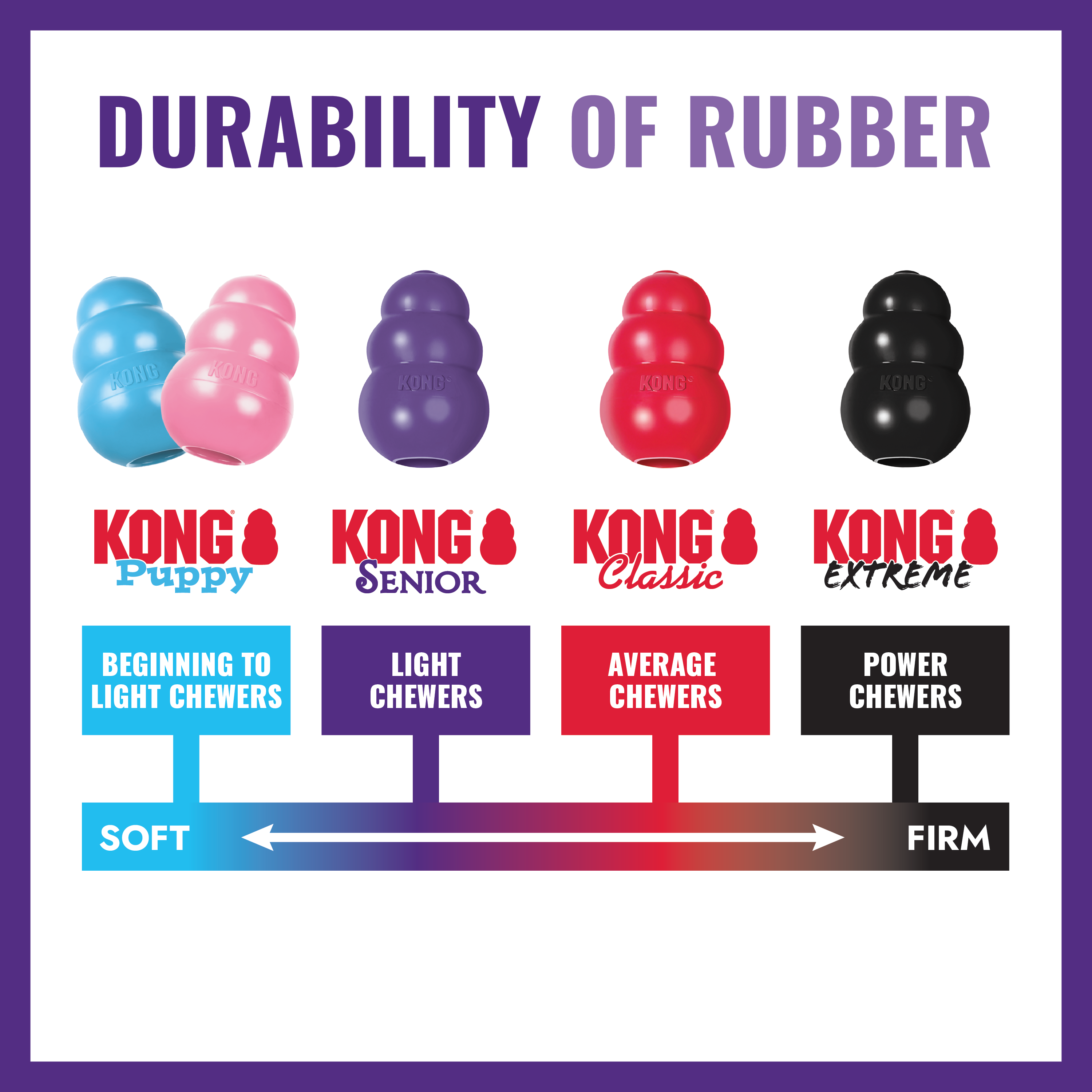 KONG Senior educational1 product image