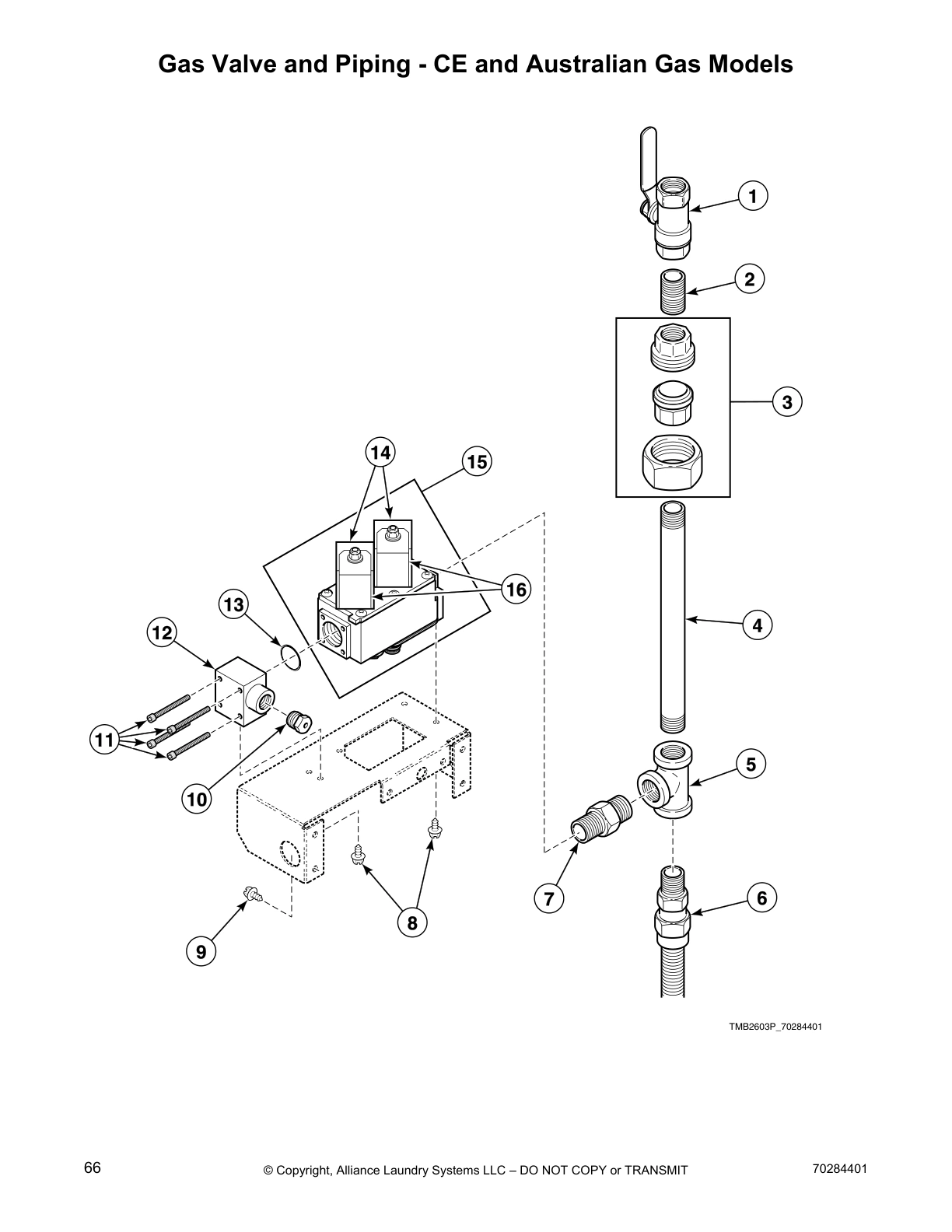Gas Valve and Piping - CE and Australian Gas Models