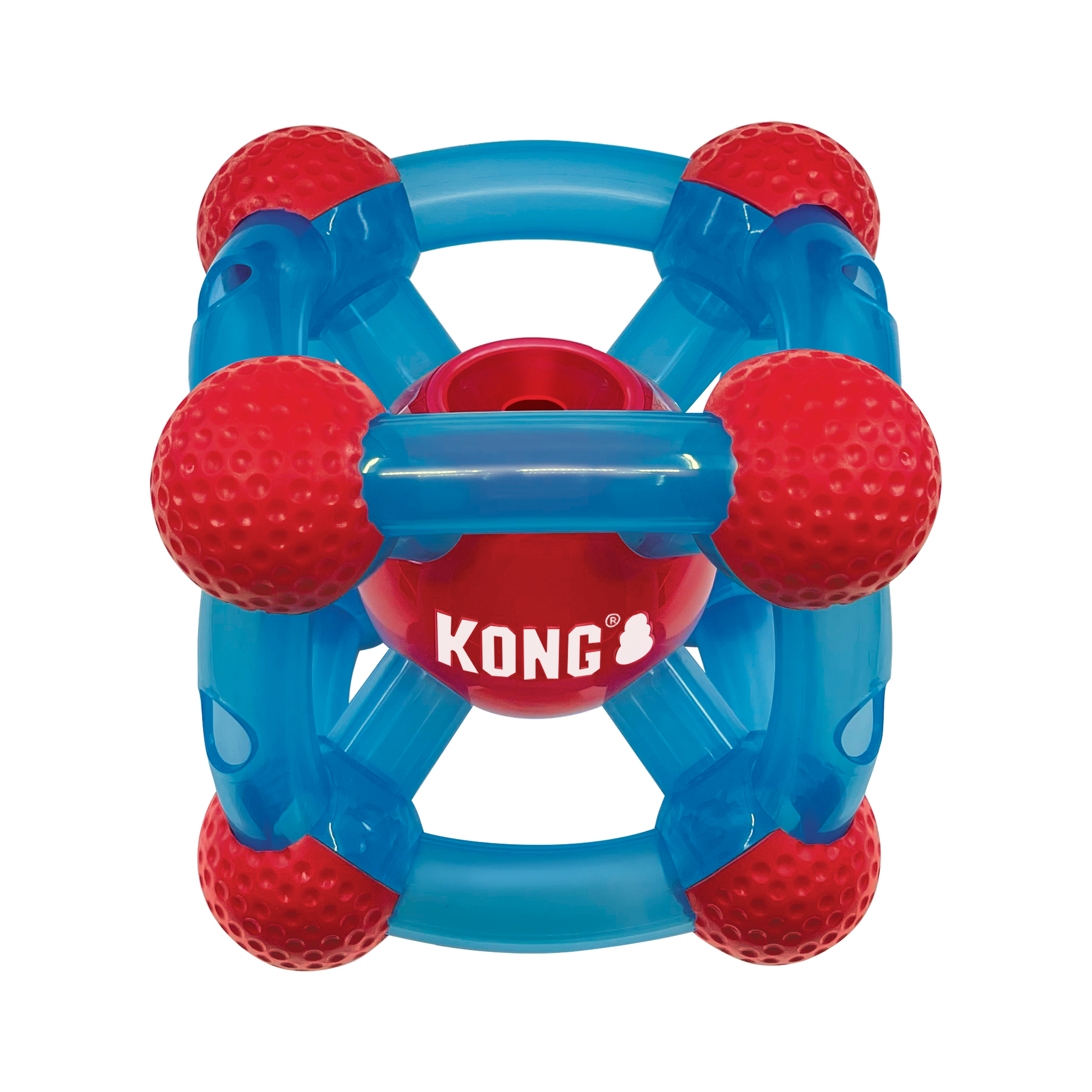 Kong rewards shell on sale large