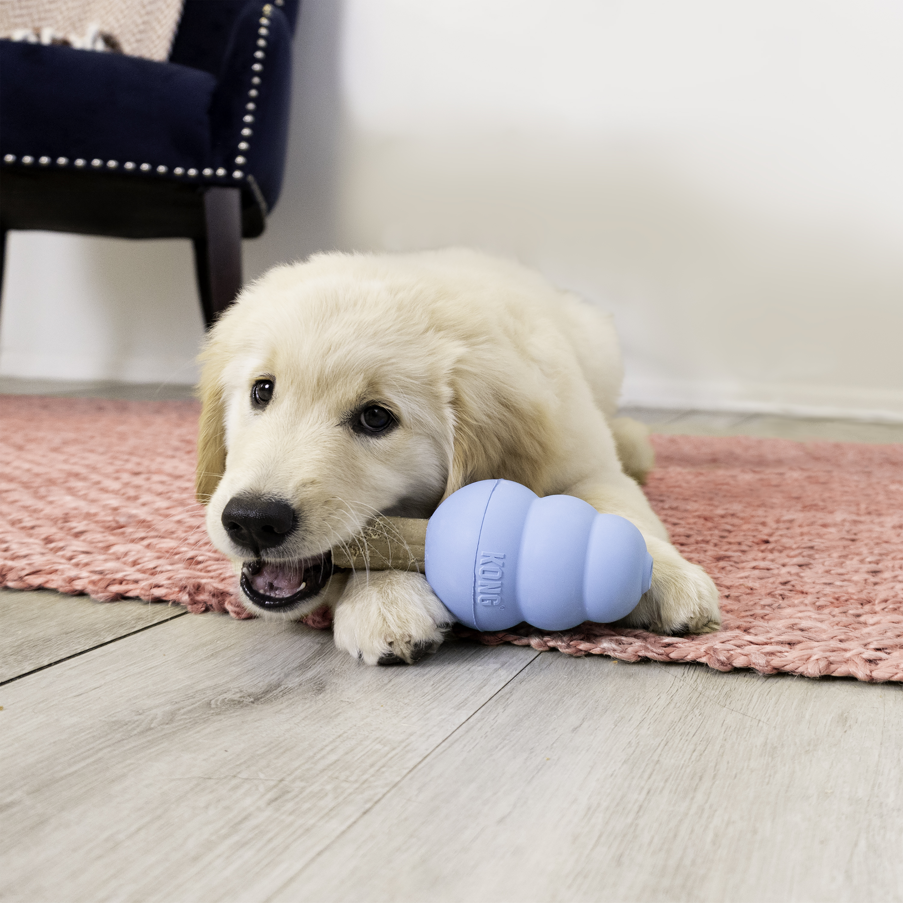 KONG Ziggies™ Puppy KONG Ziggies™ Puppy