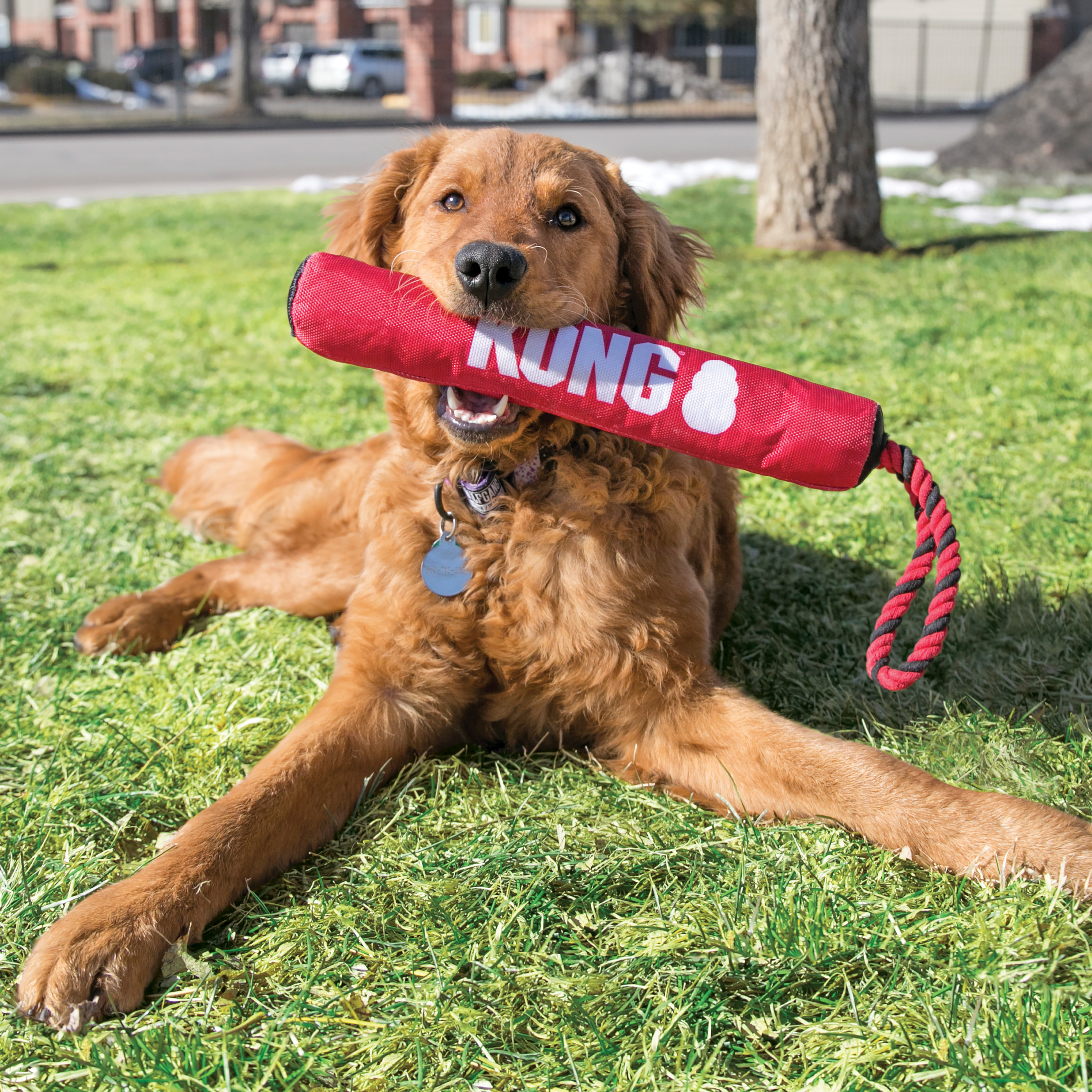 Signature Stick w/Rope lifestyle product image