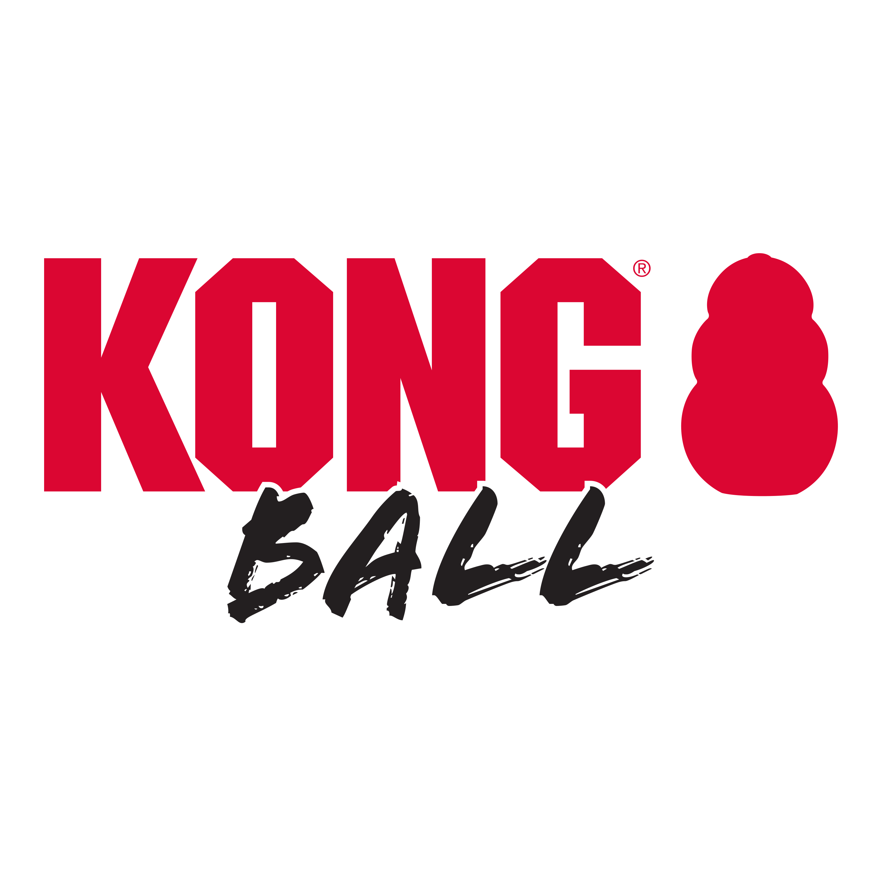 Kong extreme outlet ball dog toy