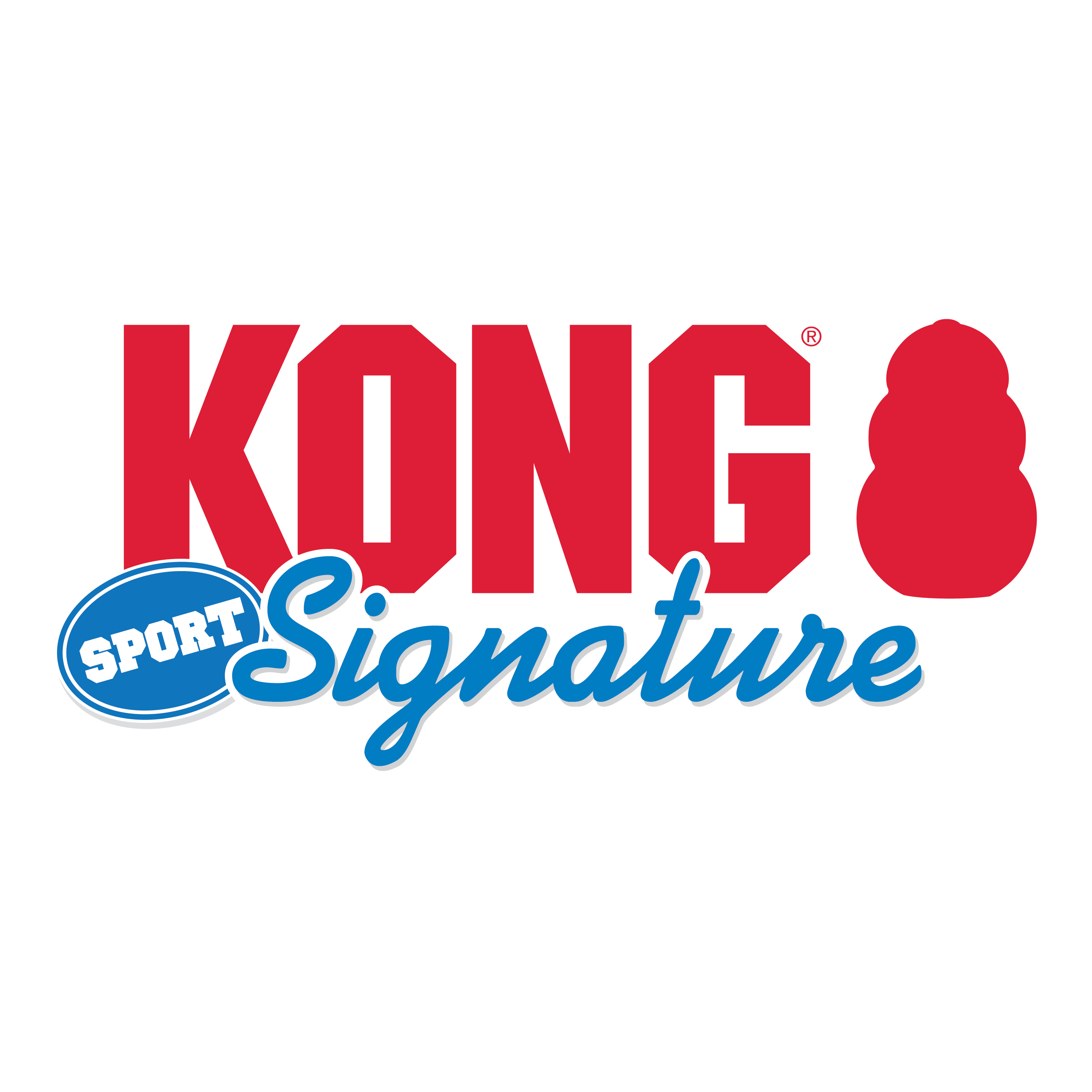 Kong signature outlet ball