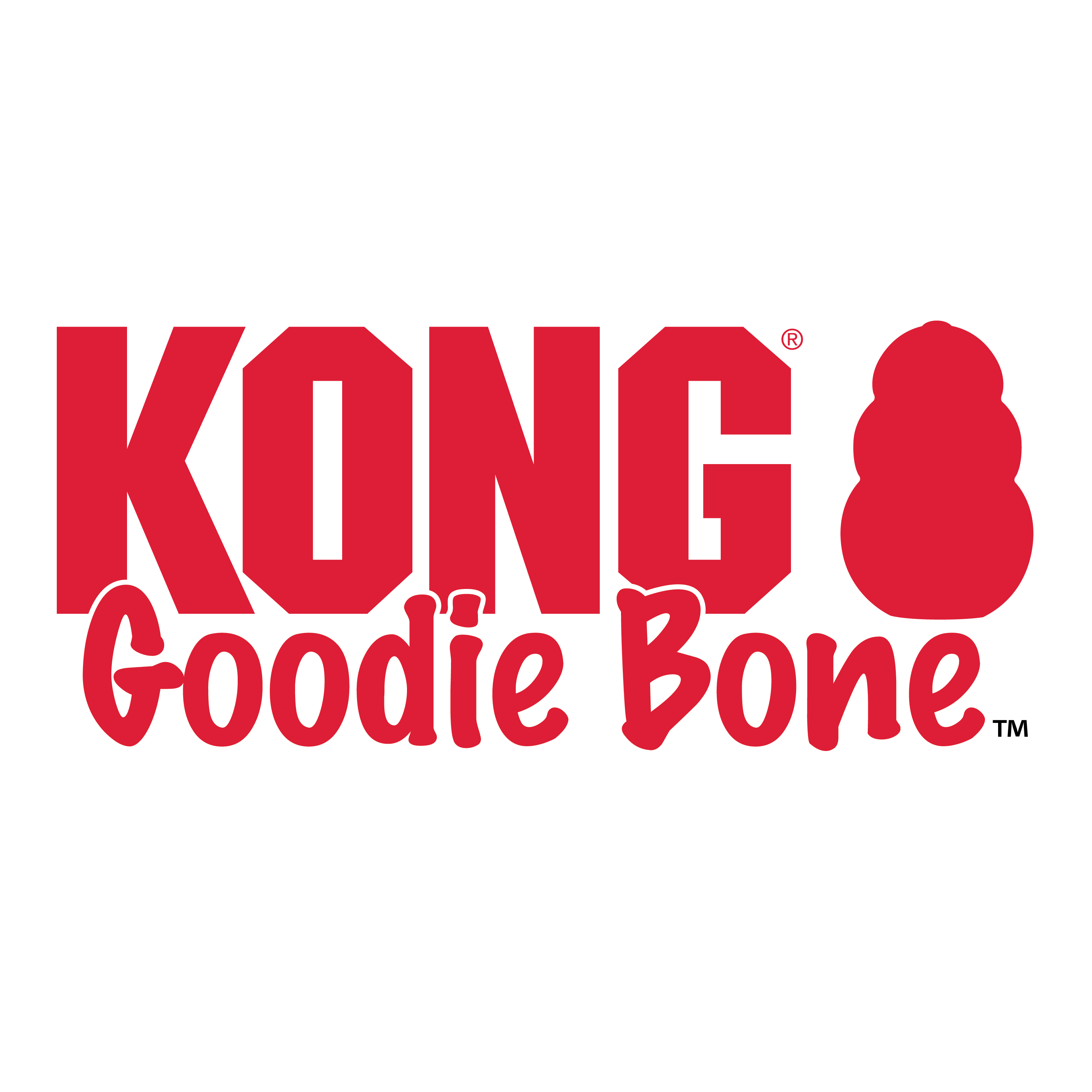 KONG Goodie Bone alt1 termékkép