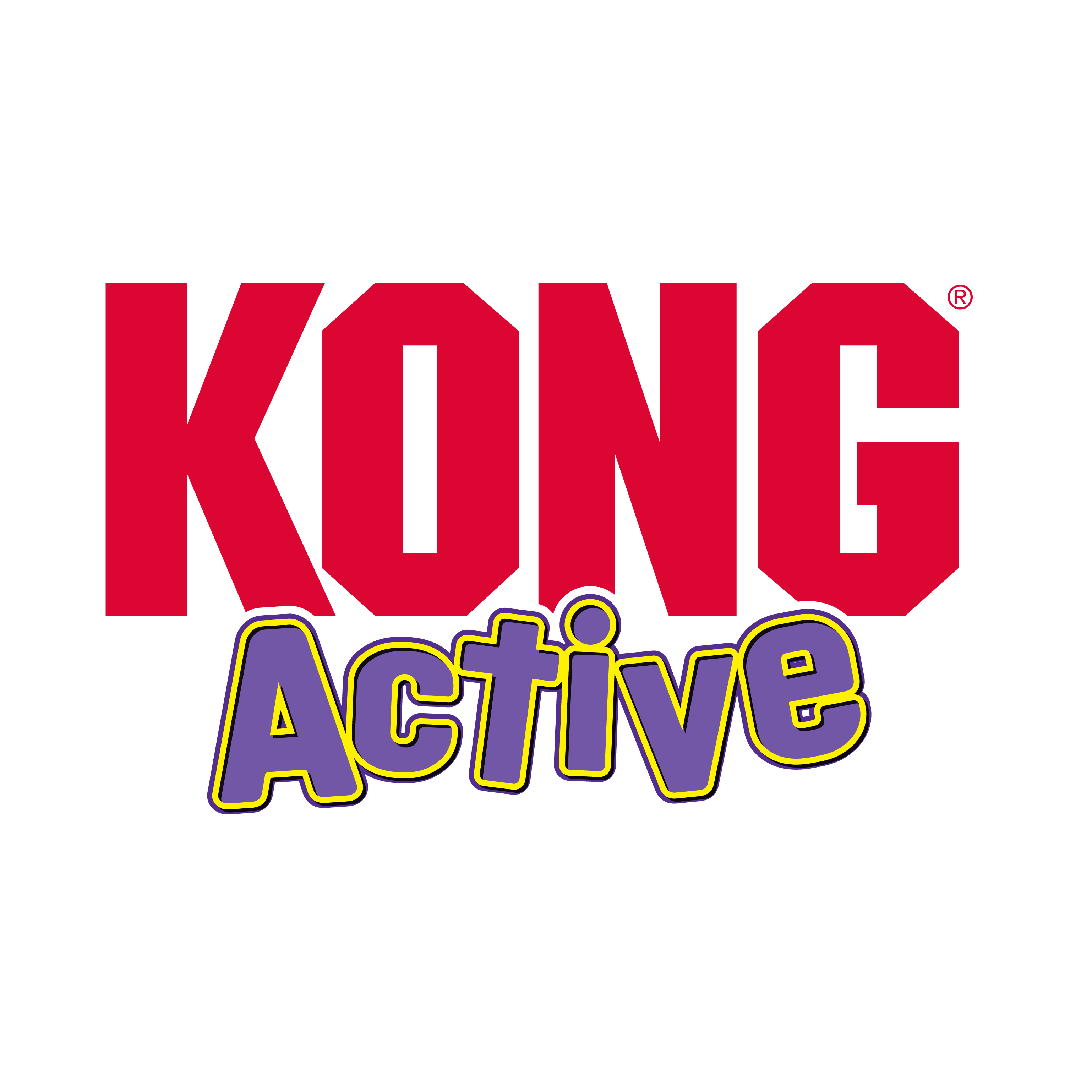 Kong Active Cat Treat Ball