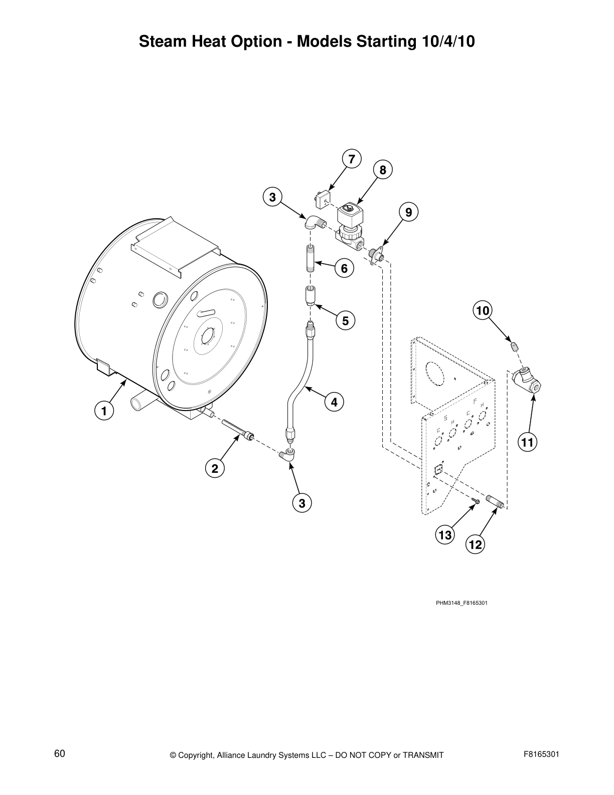 Steam Heat Option - Models Starting 10/4/10