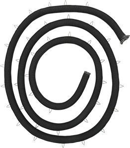 12028444