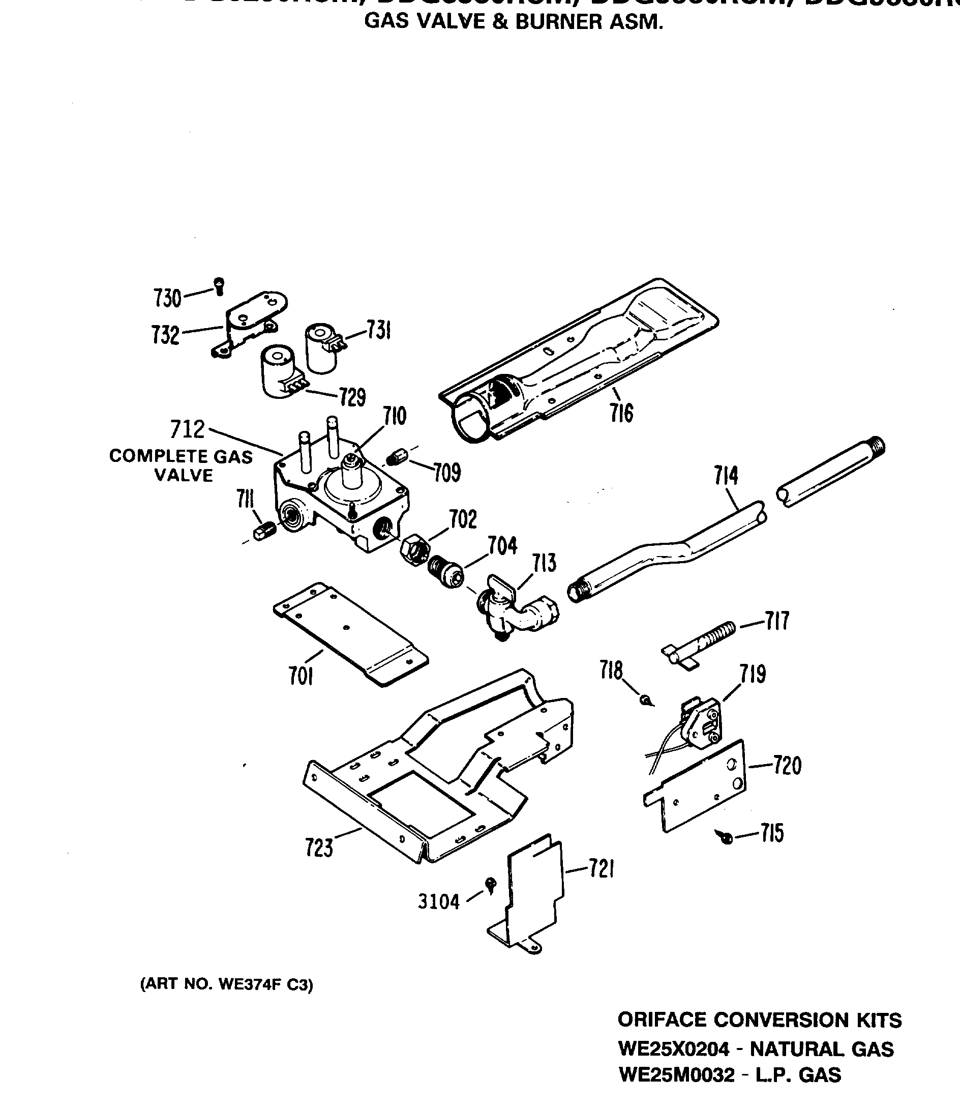 GAS VALVE & BURNER ASM.
