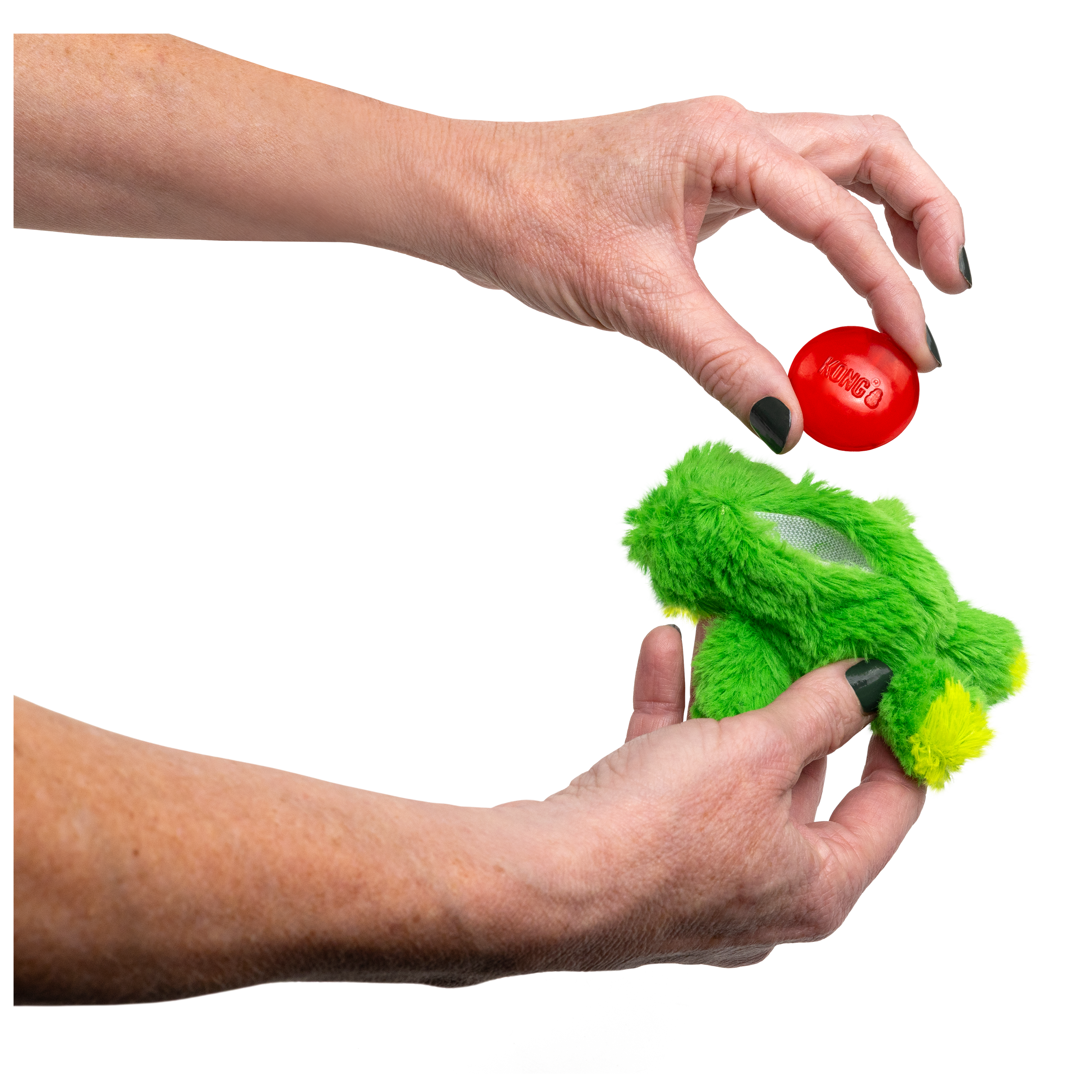 Dr. Noyz Frog educational1 product image