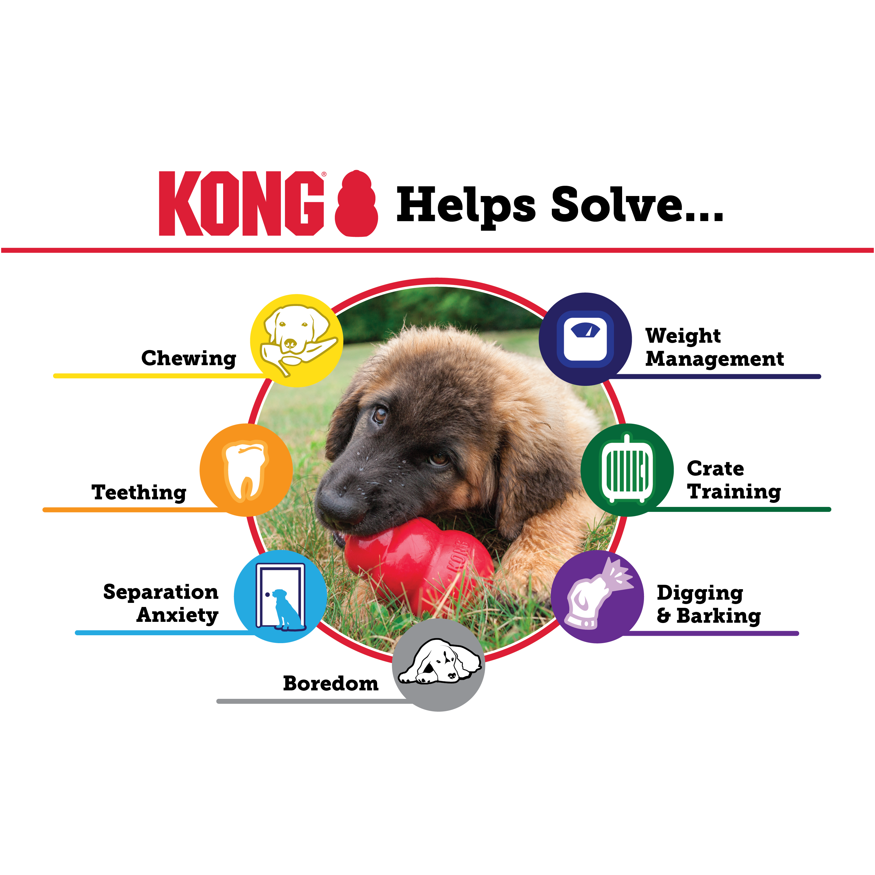 KONG Classic educational2 Produktbild