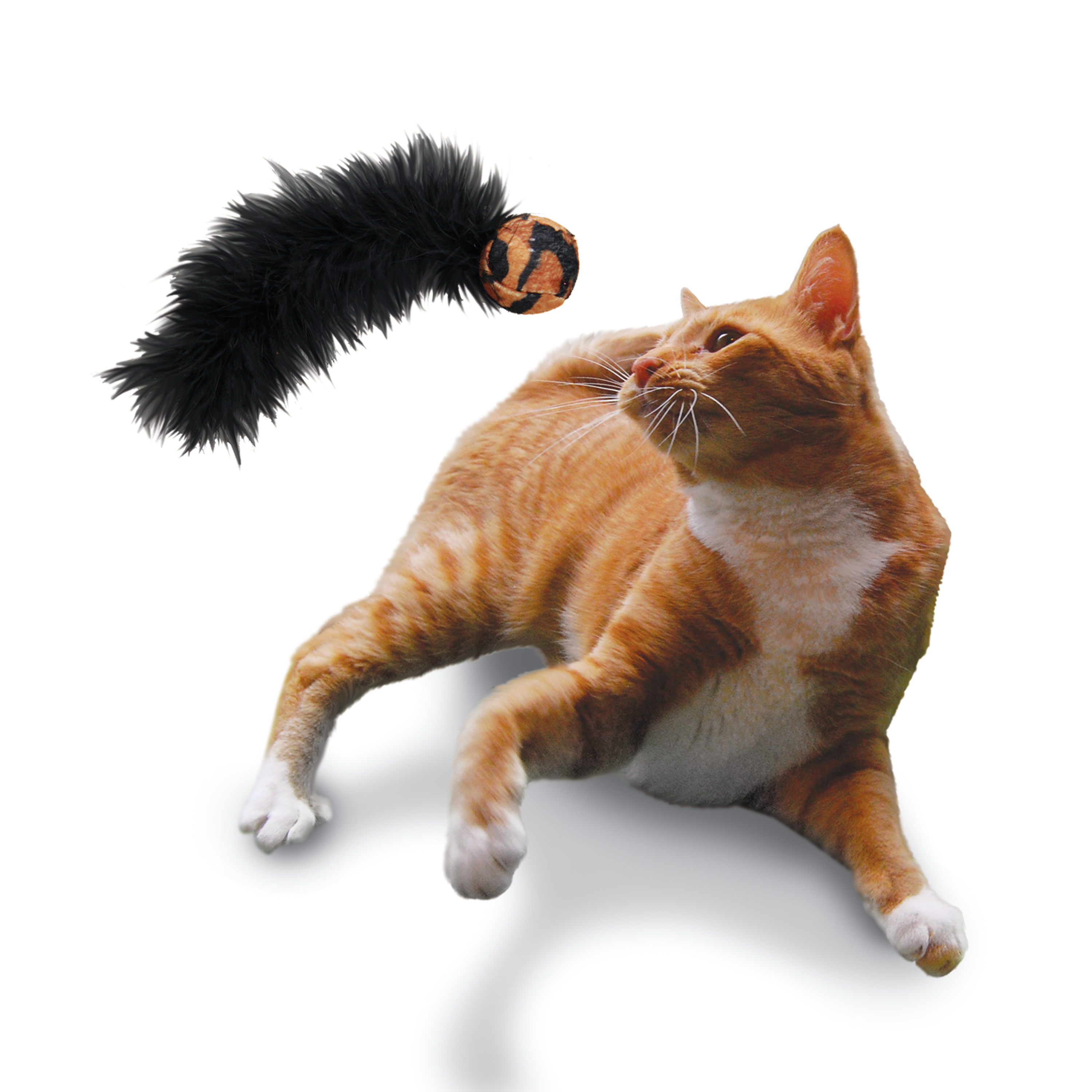 KONG Cat Active Wild Tails Assorted Cat Toy